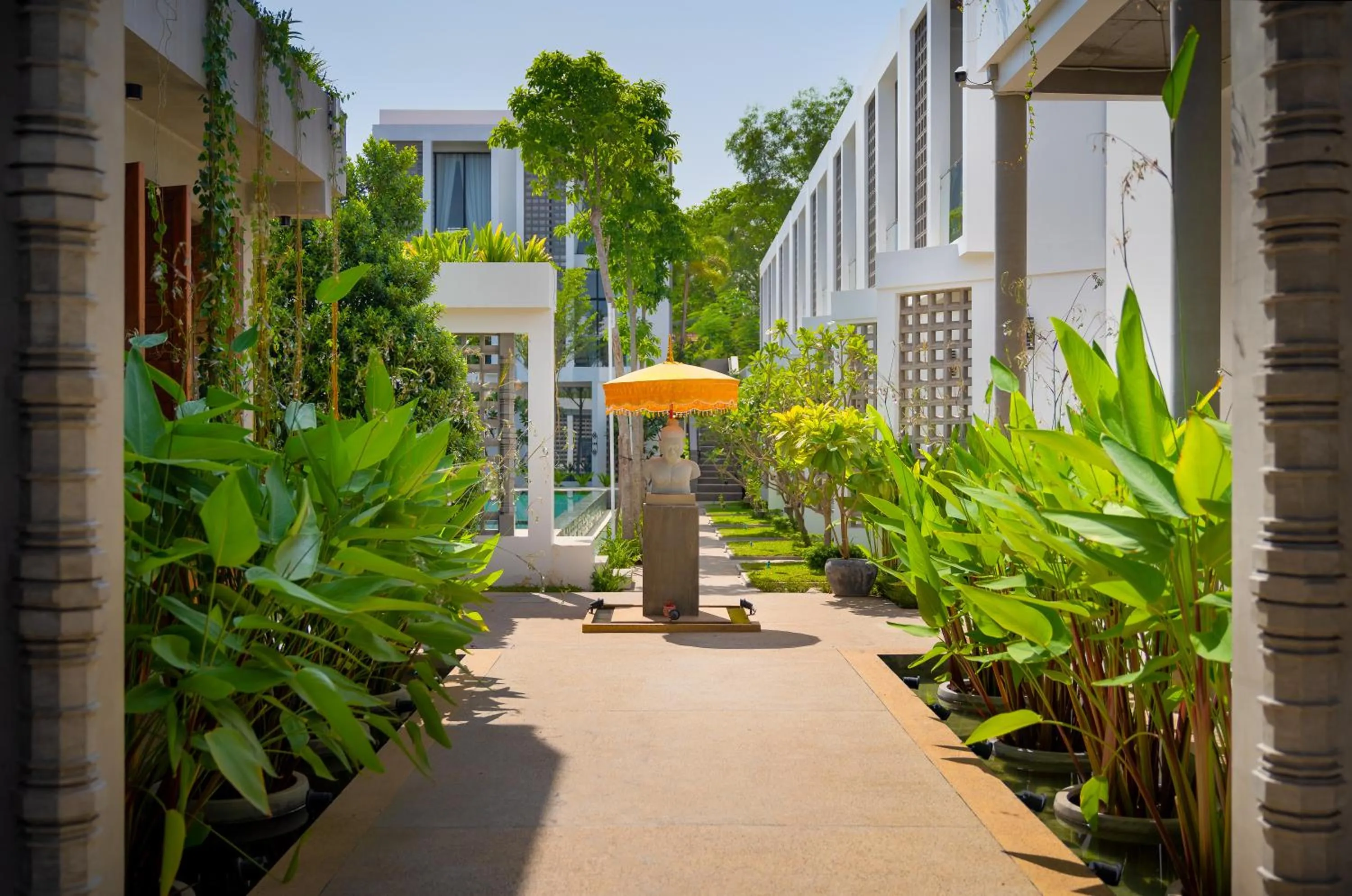 Natural landscape in Phka Chan Hotel