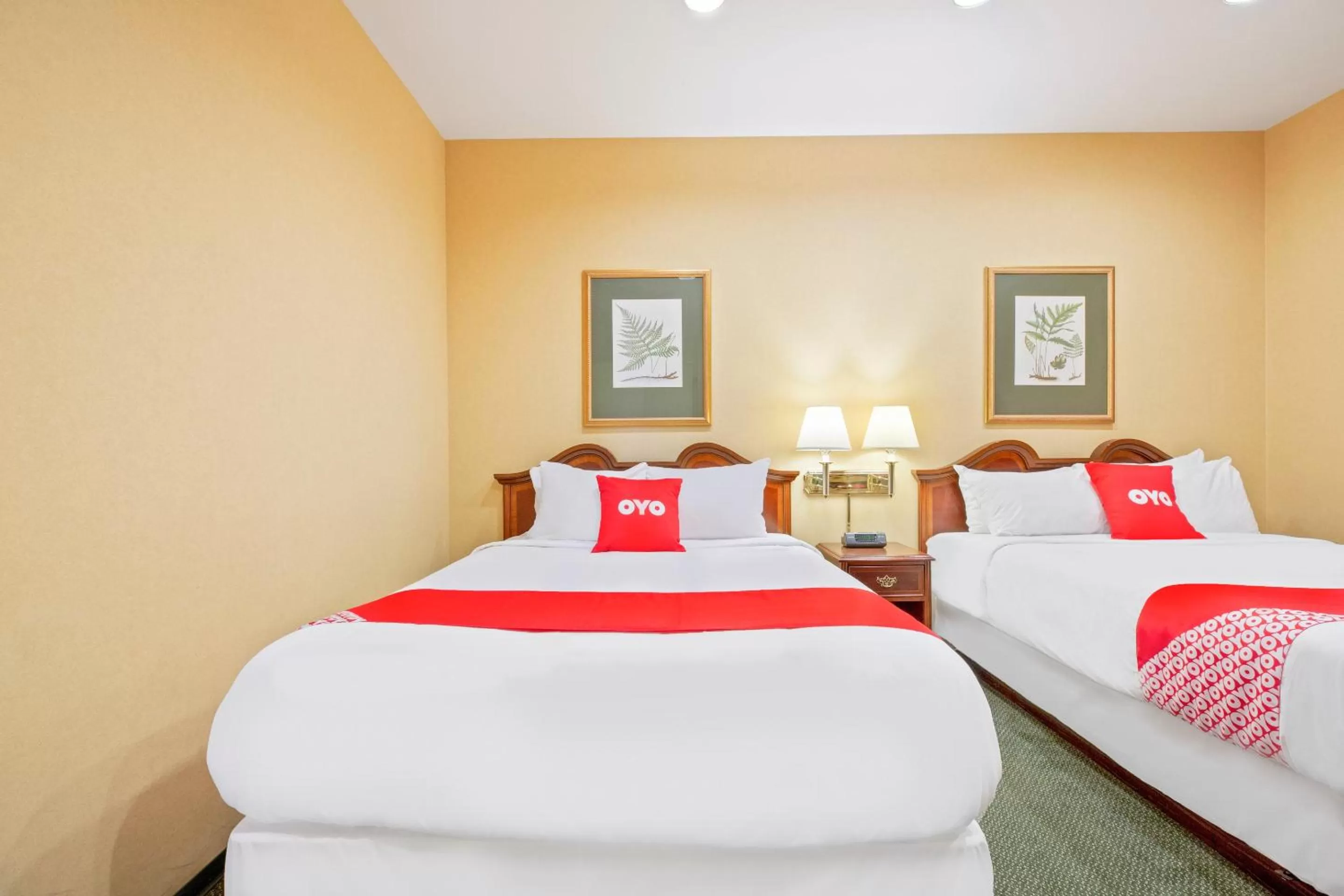 Bedroom, Bed in OYO Hotel St Louis Downtown City Center MO