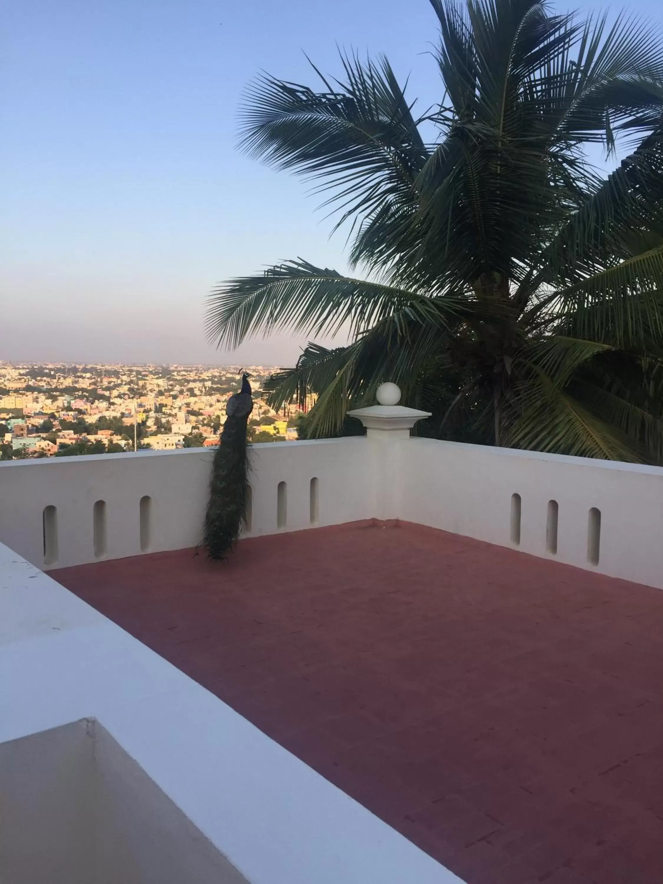 Balcony/Terrace in The Gateway Hotel Pasumalai Madurai