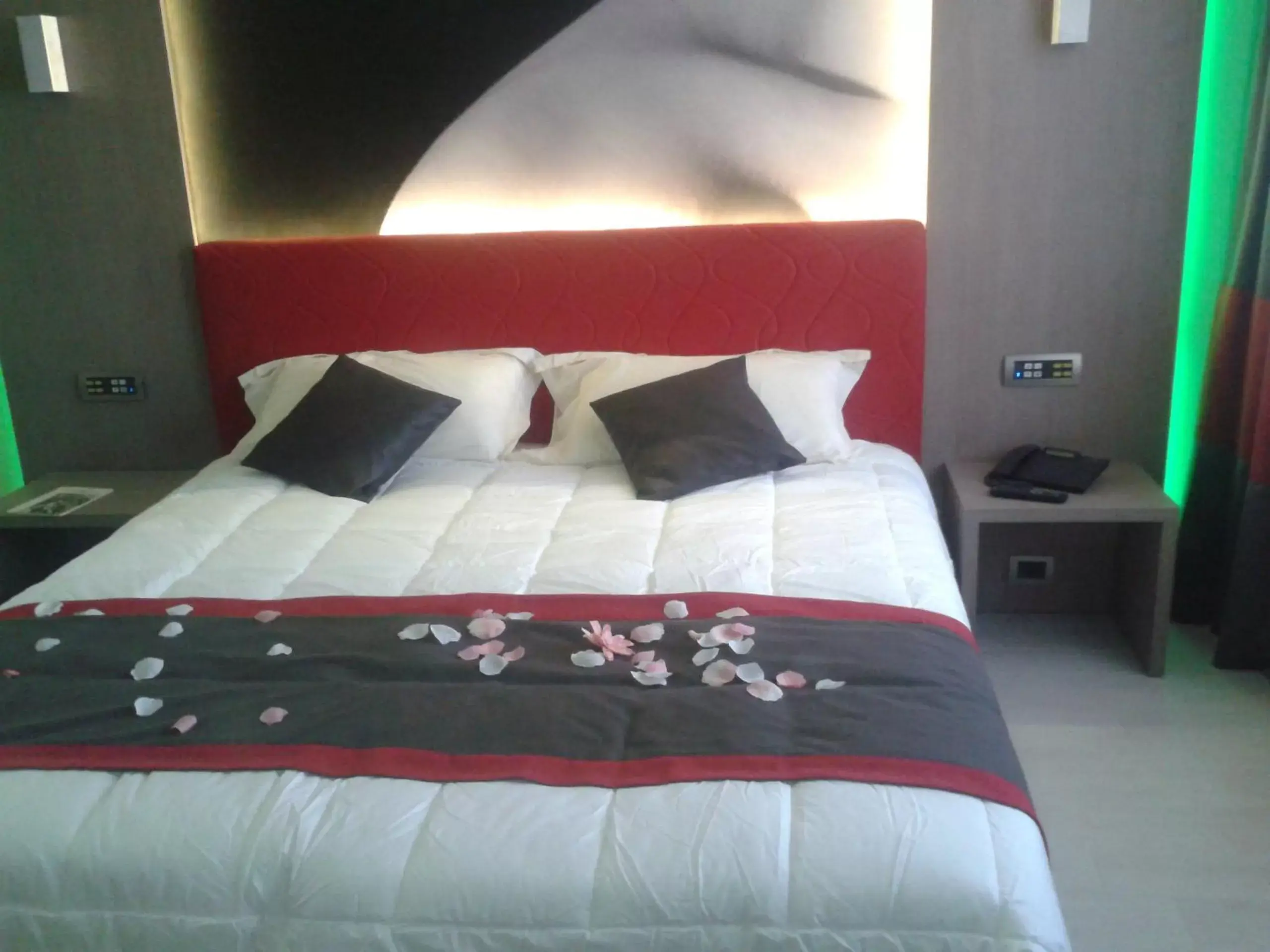 Double or Twin Room in Hotel Camelia