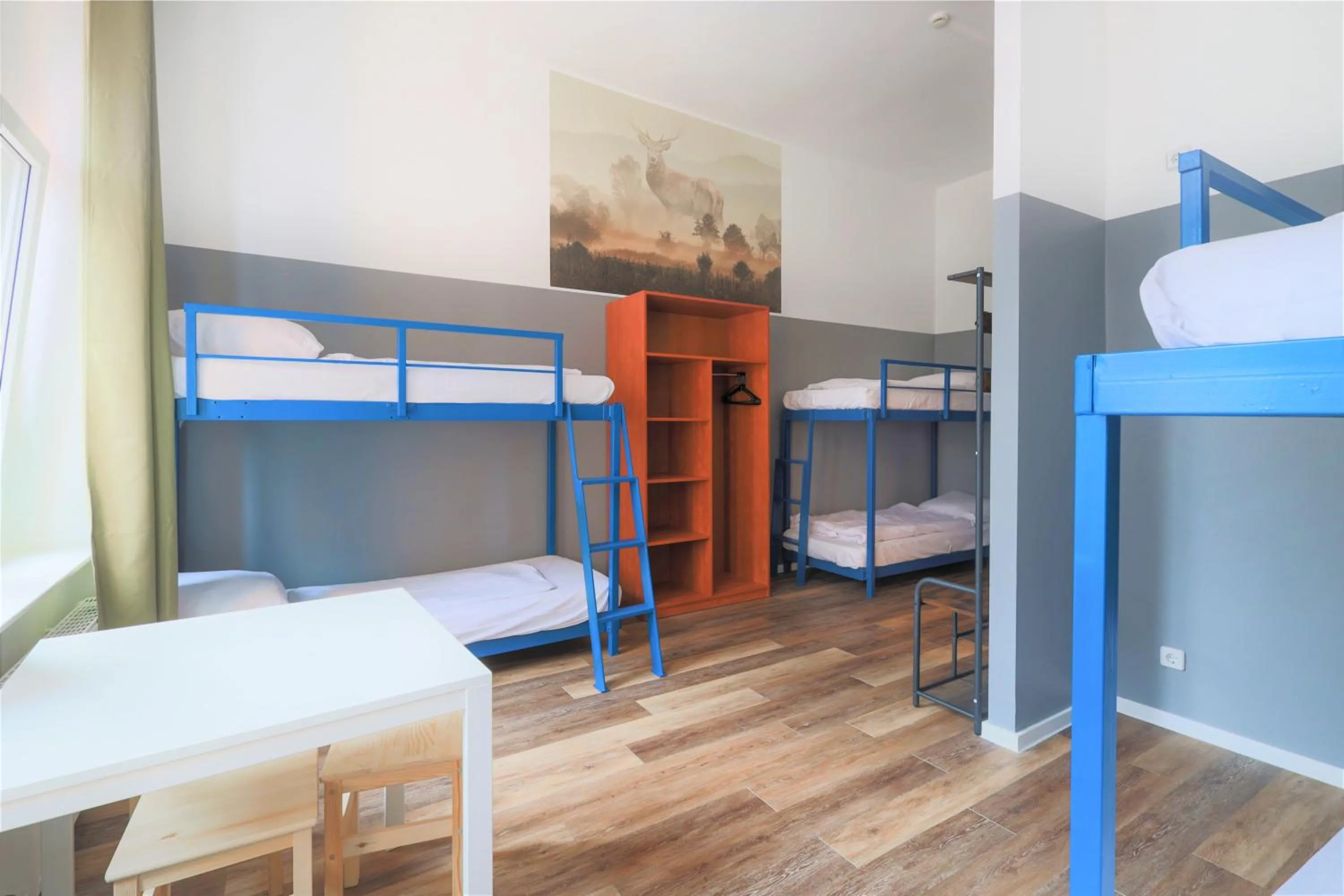 Staff, Bed in Pegasus Hostel Berlin