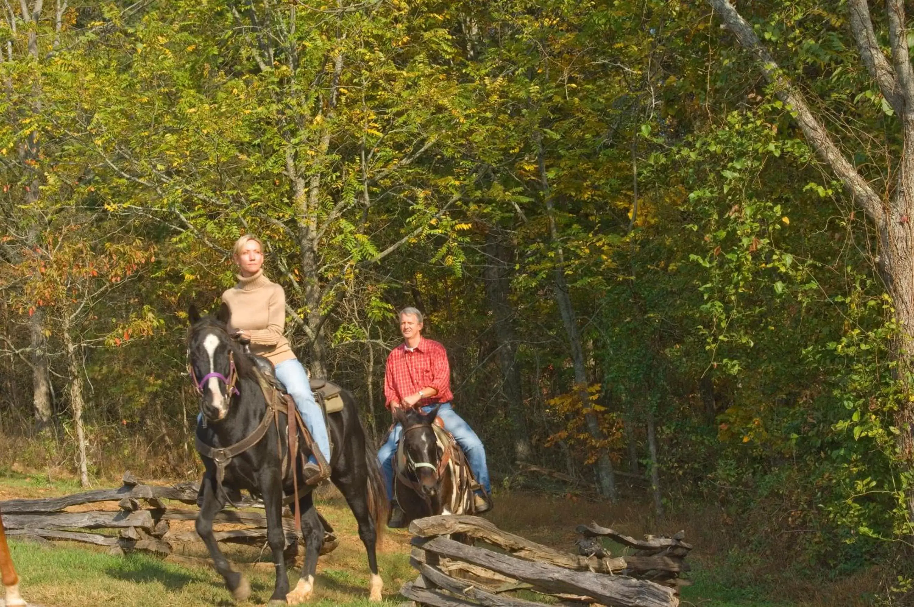 Horse-riding, Biking in Brasstown Valley Resort & Spa