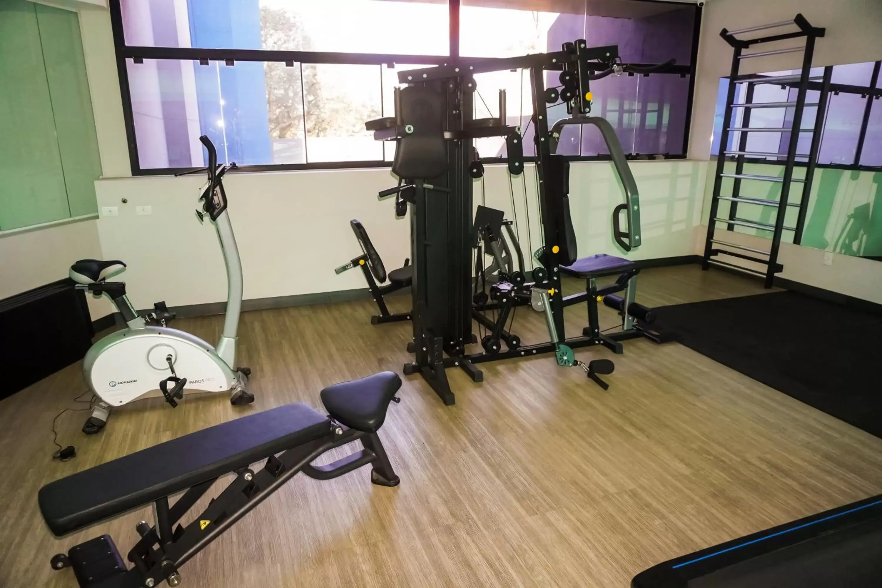 Fitness centre/facilities, Fitness Center/Facilities in ibis Styles Sorocaba Santa Rosalia