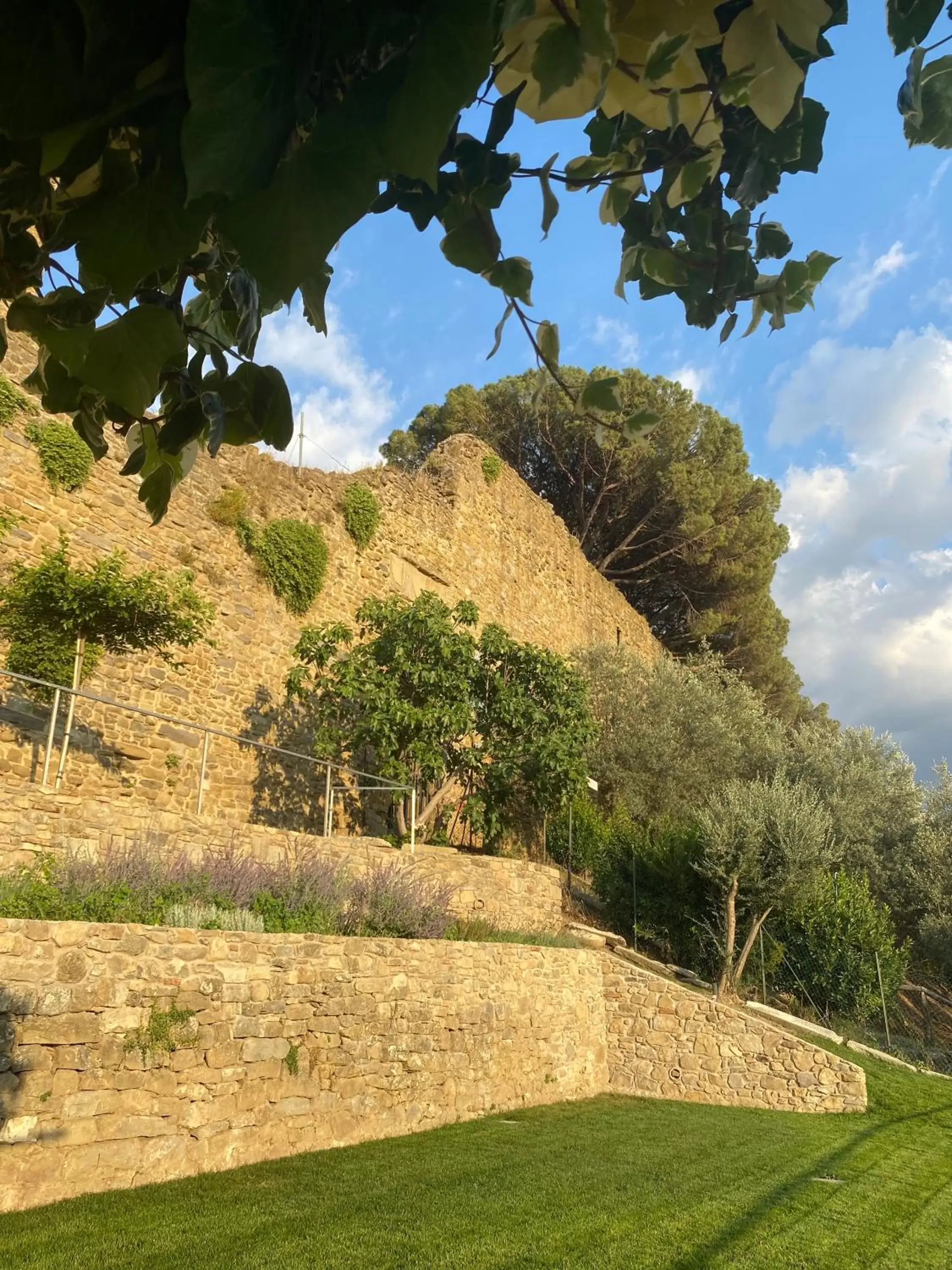 Garden view in San Michele al Castello