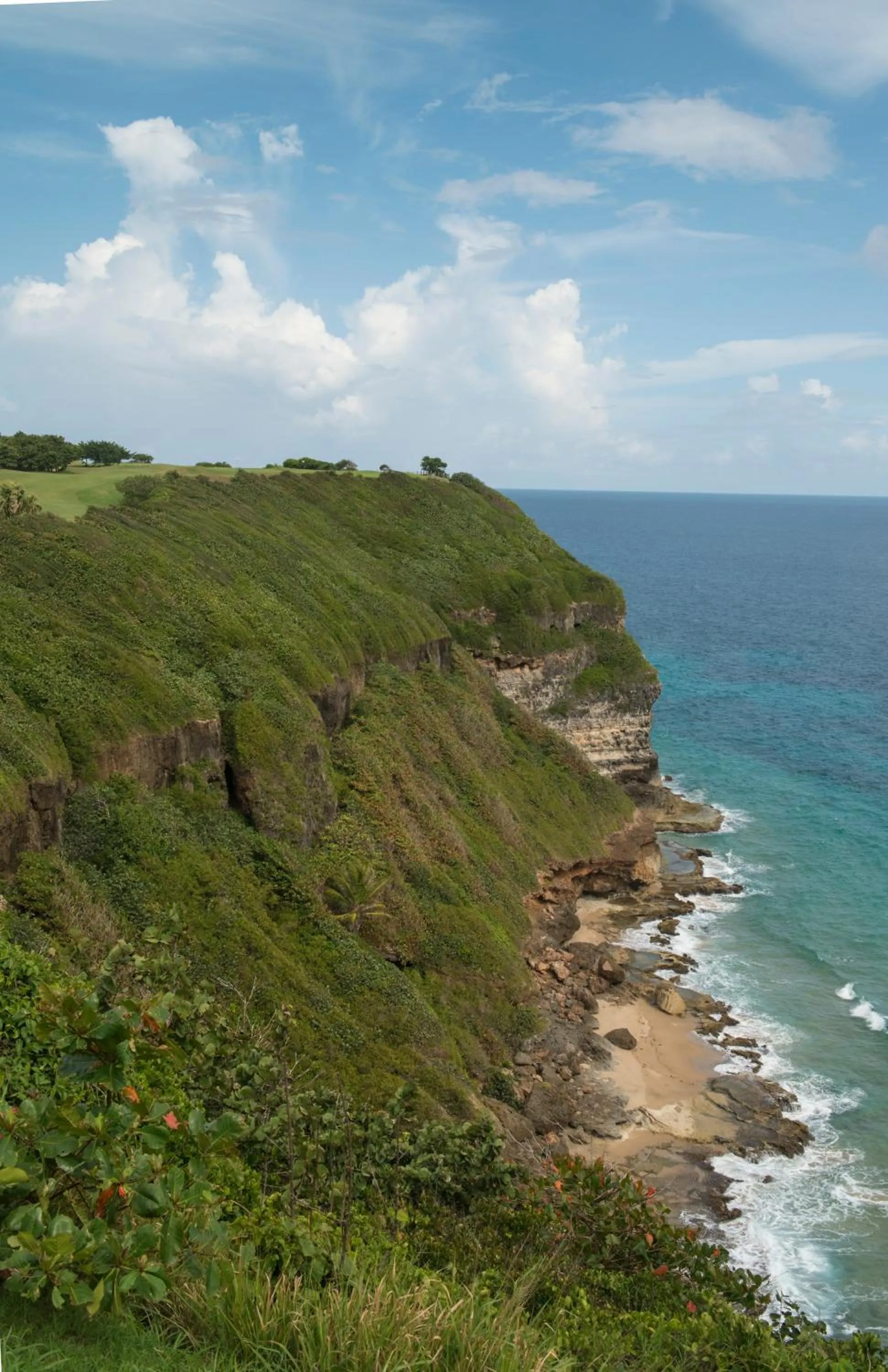 Day in Royal Isabela