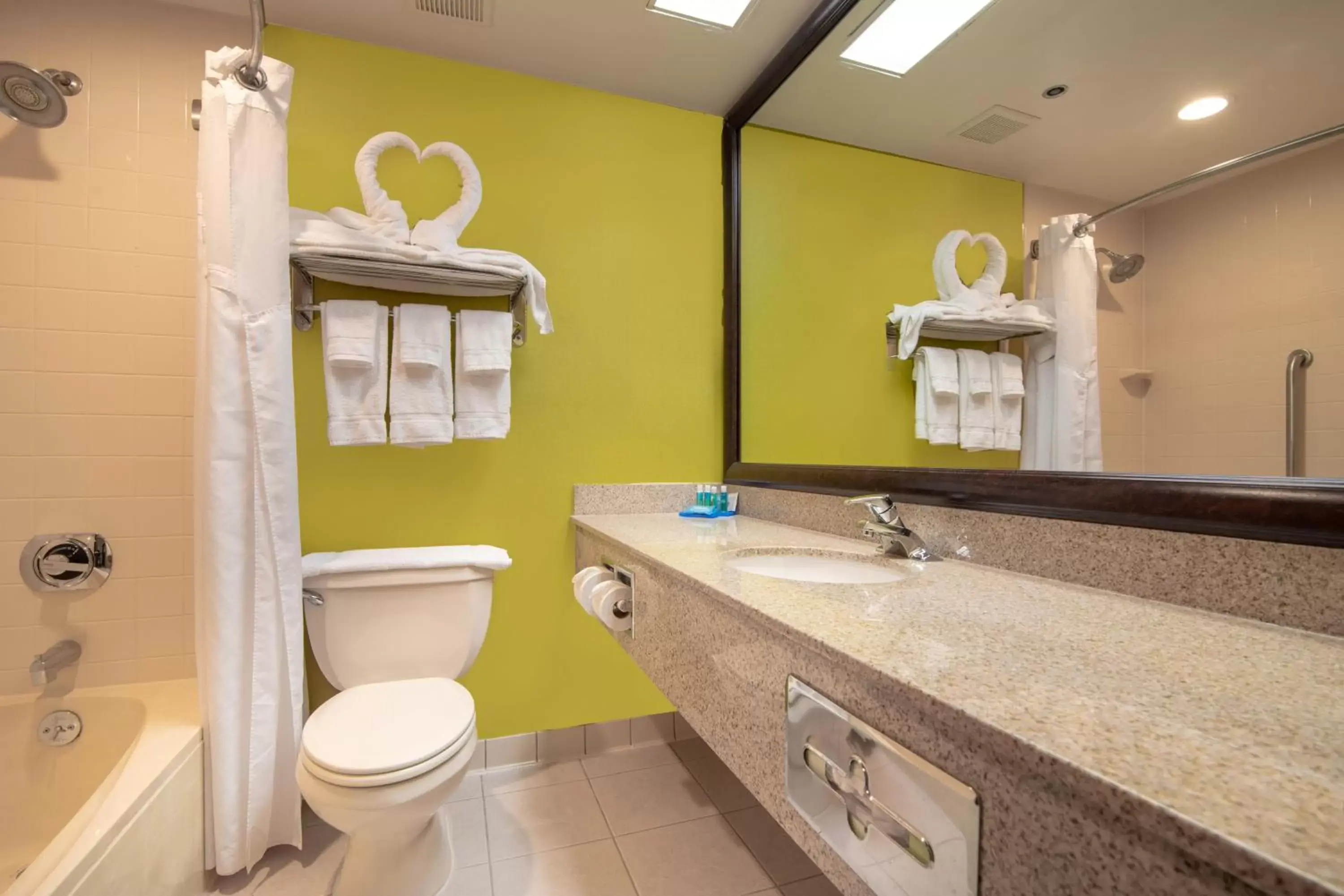 Bathroom in Holiday Inn Express Stony Brook-Long Island, an IHG Hotel