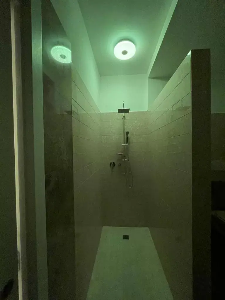 Bathroom in Suite 55 in centro