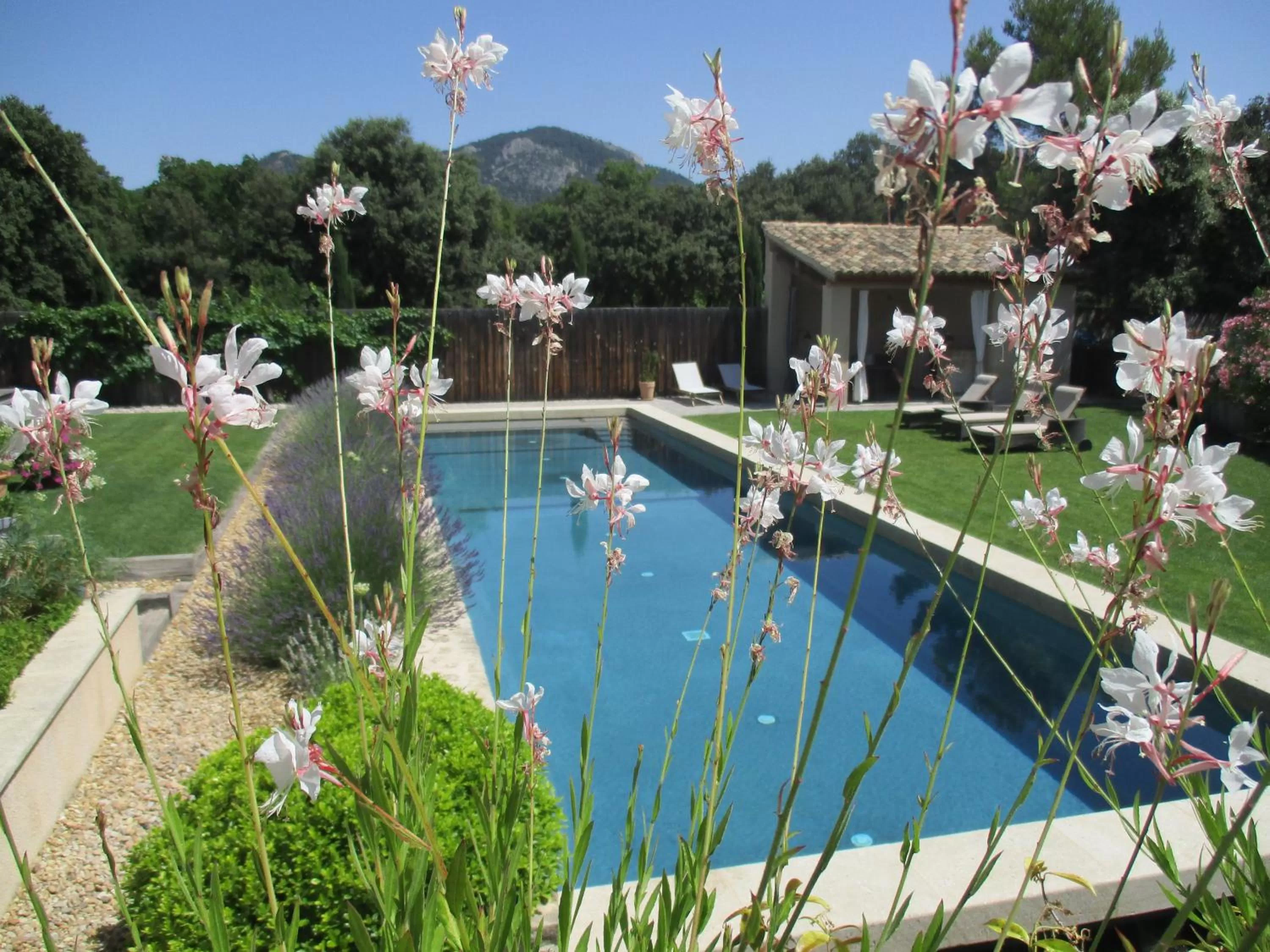 Day in La bergerie de Nano