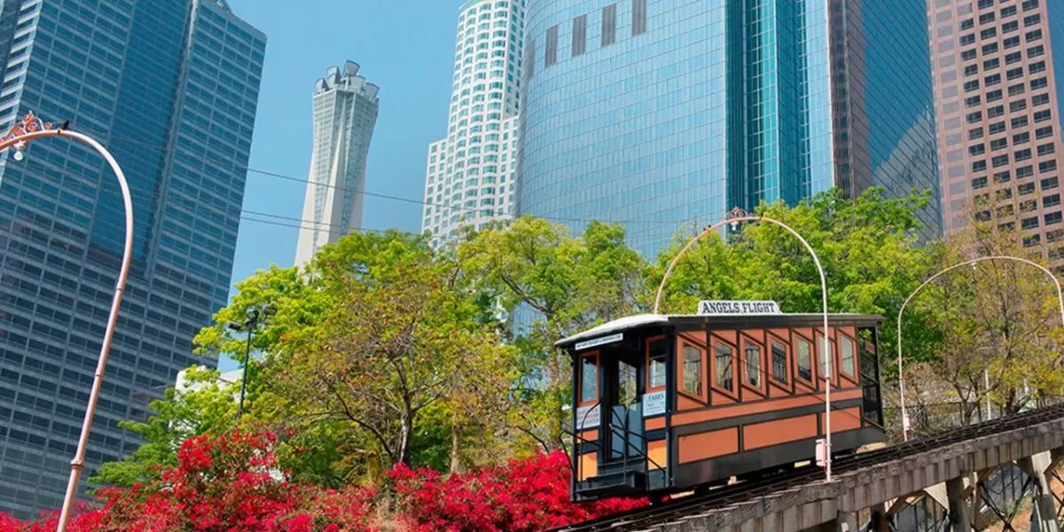 Modern Apartment Rentals