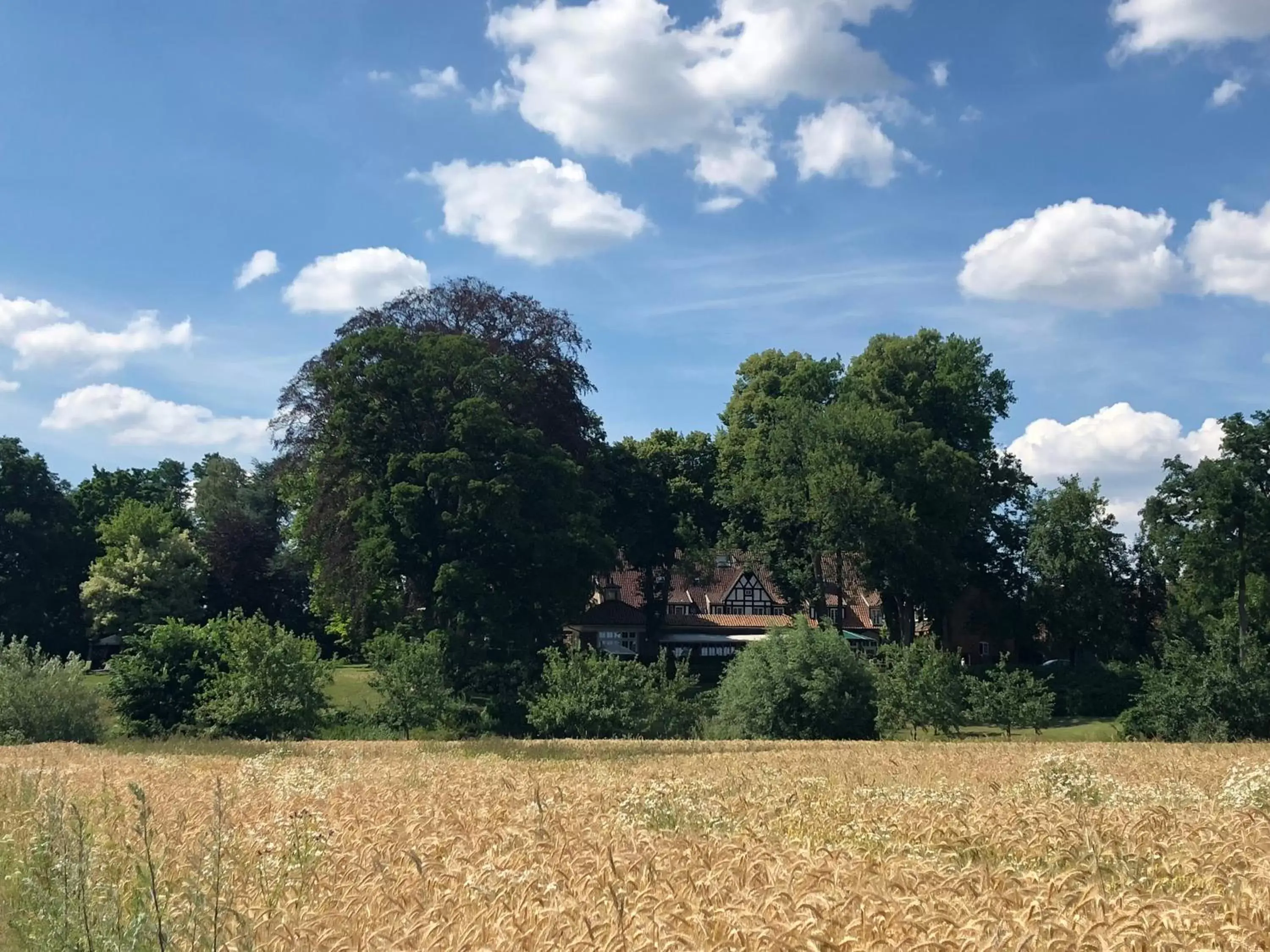 Area and facilities in Landhaus Eggert