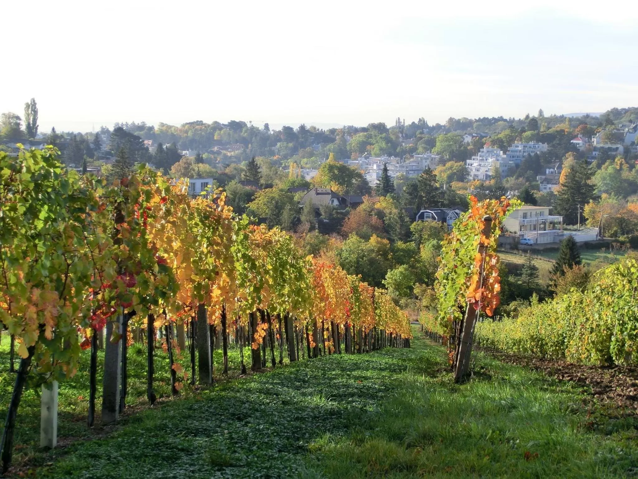 Area and facilities in out of order