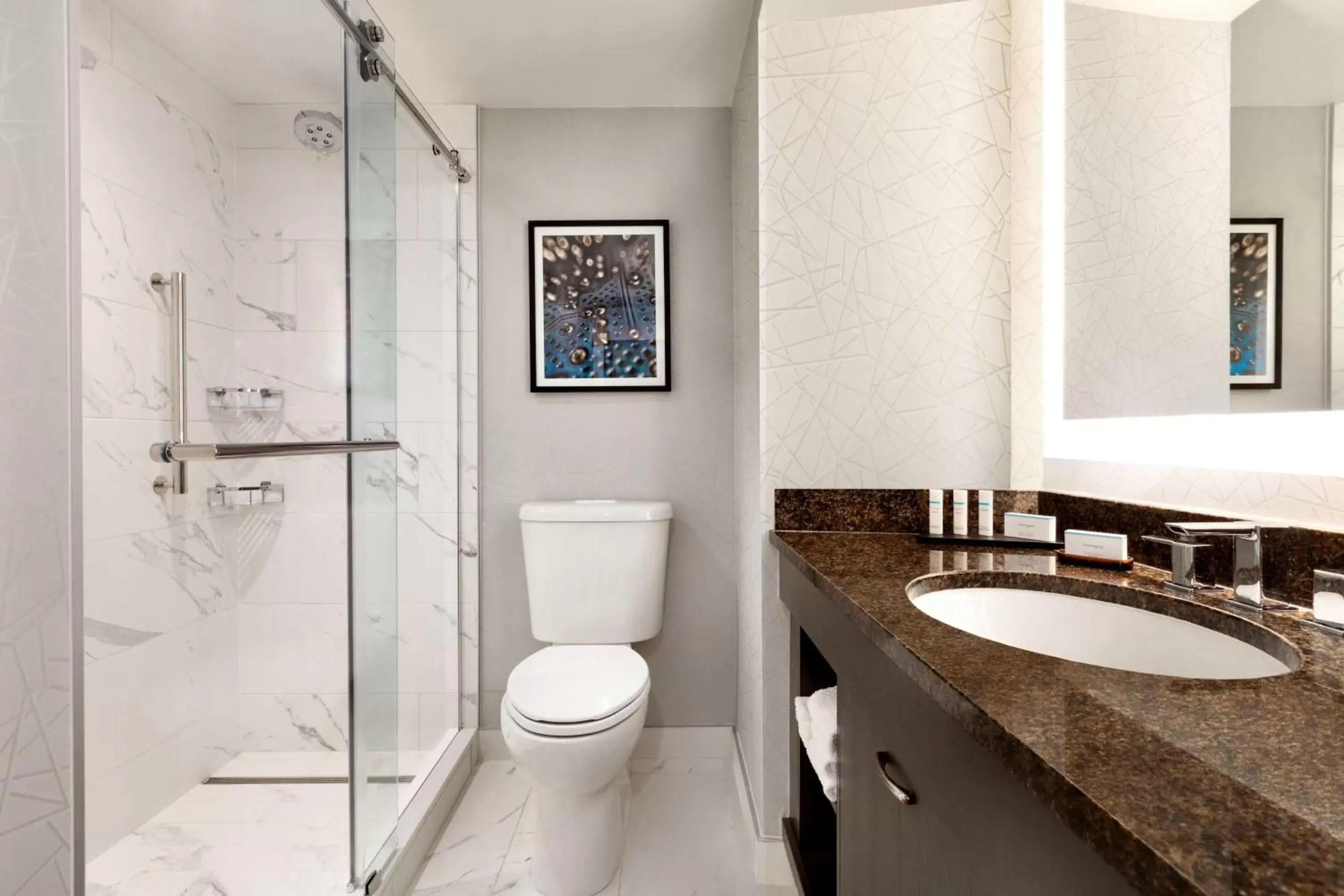 Bathroom in Embassy Suites by Hilton Santa Clara Silicon Valley