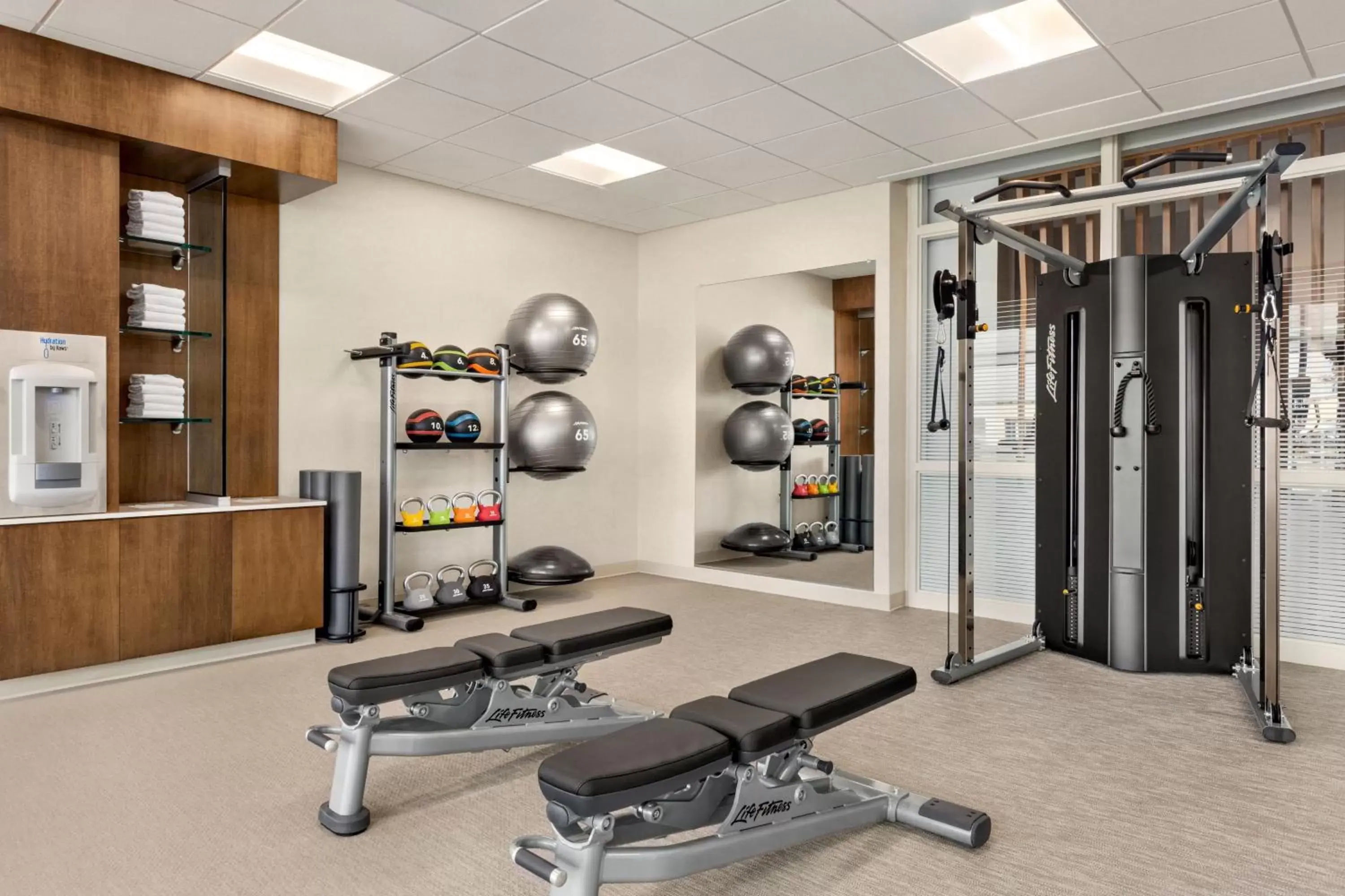 Fitness centre/facilities, Fitness Center/Facilities in SpringHill Suites by Marriott Camp Hill