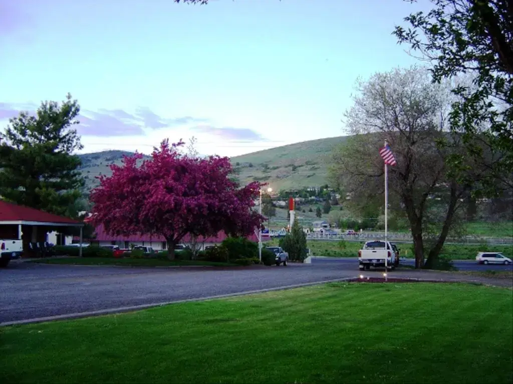 Natural landscape in Golden West Motel