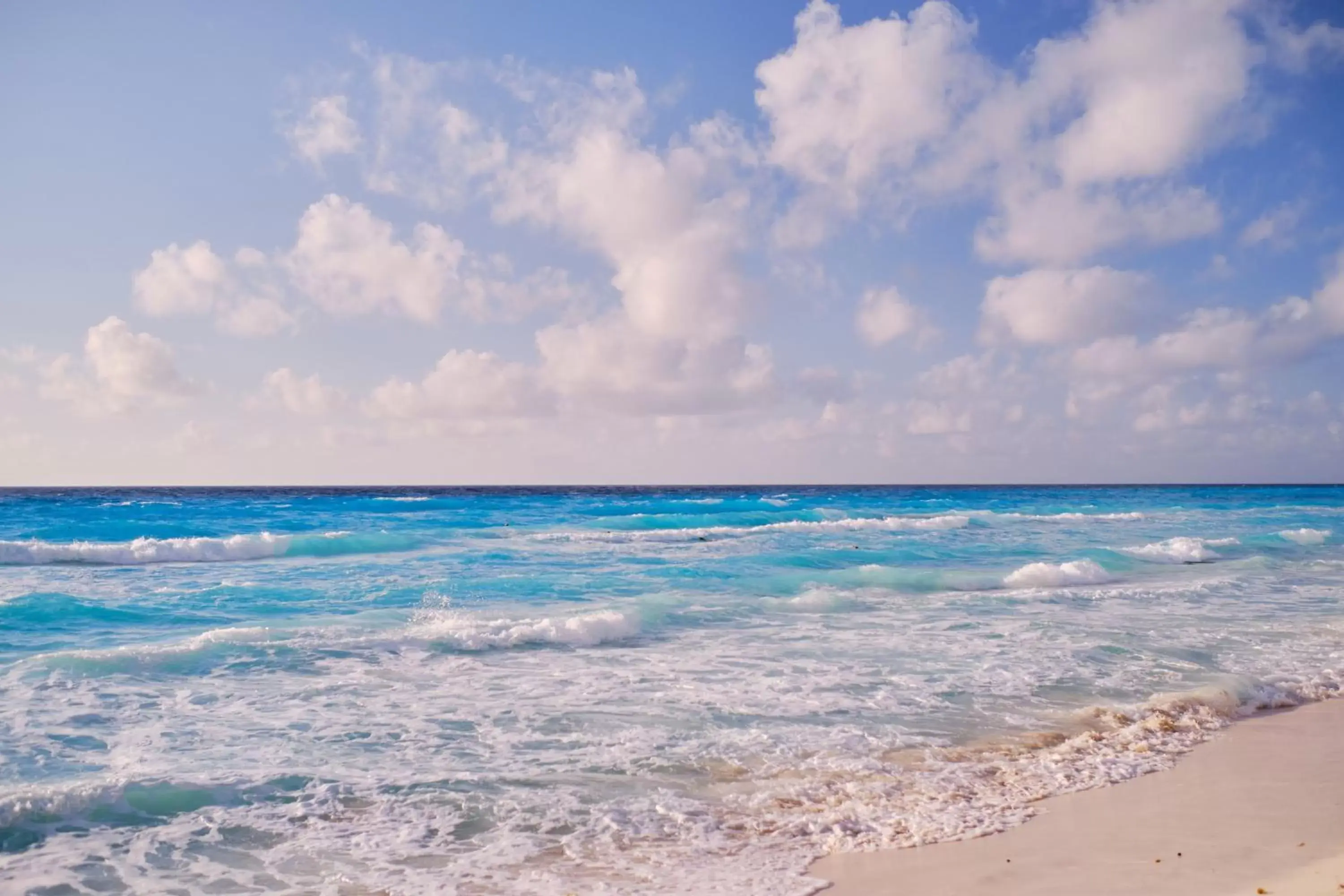 Beach in Hotel NYX Cancun