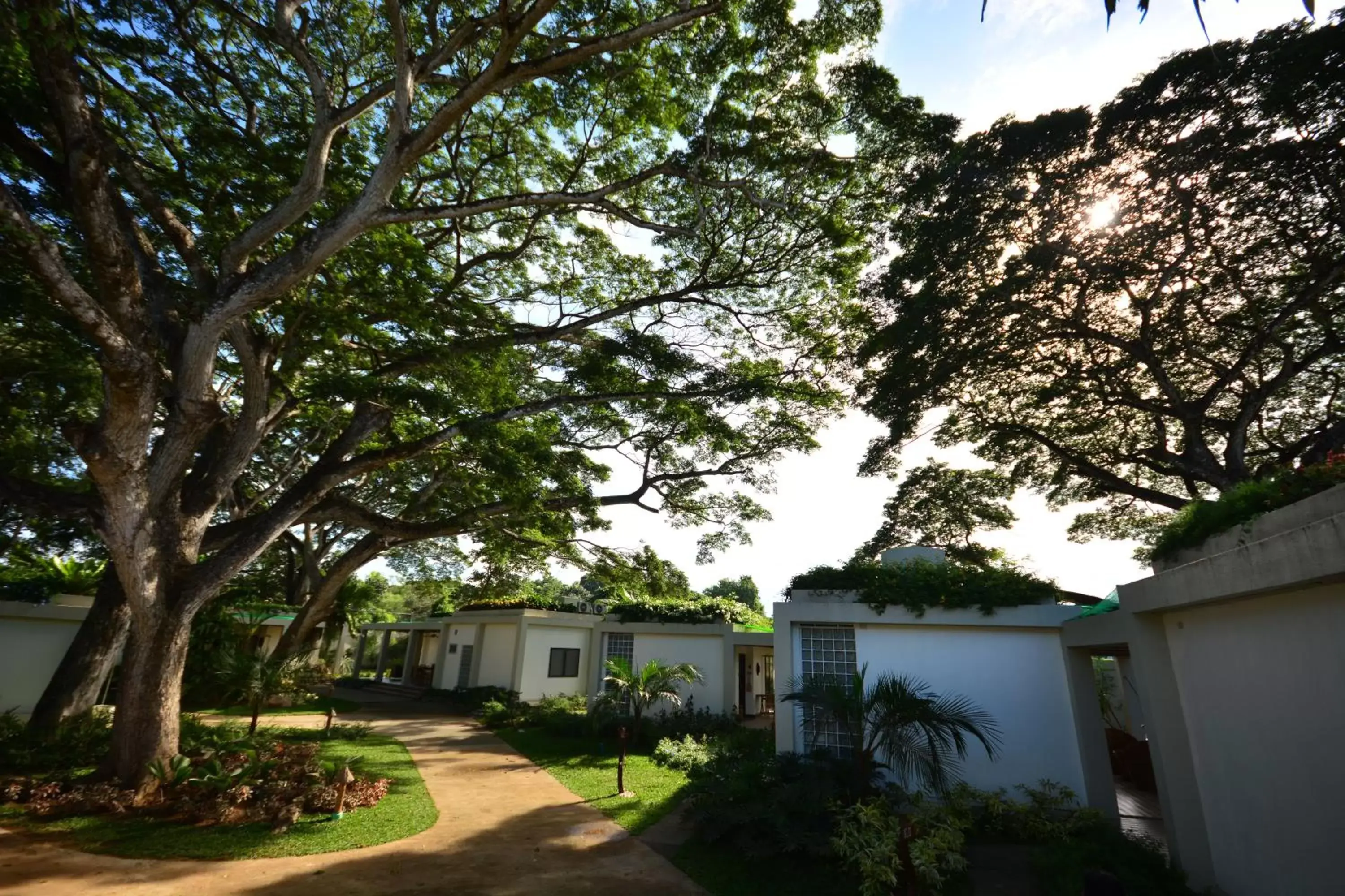 Facade/entrance in Munting Paraiso Facade/entrance in Munting Paraiso