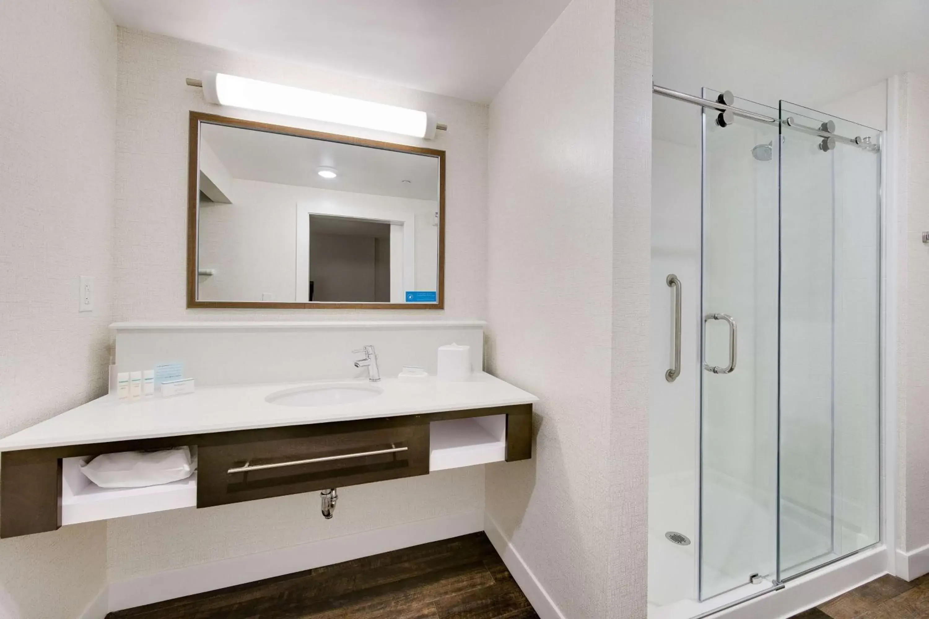 Bathroom in Hampton Inn & Suites Fort Worth Downtown