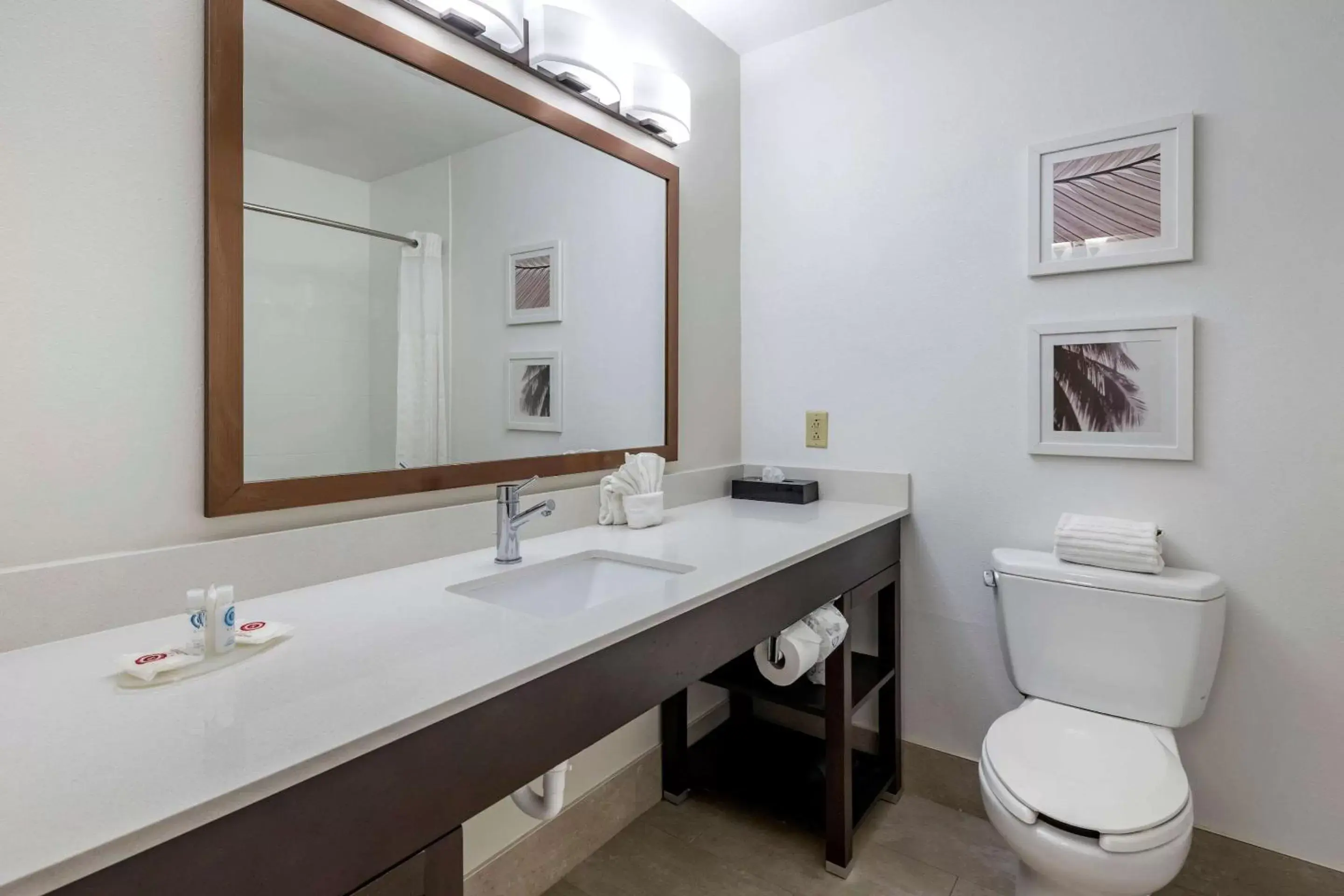 Photo of the whole room, Bathroom in Comfort Inn & Suites Saint Augustine