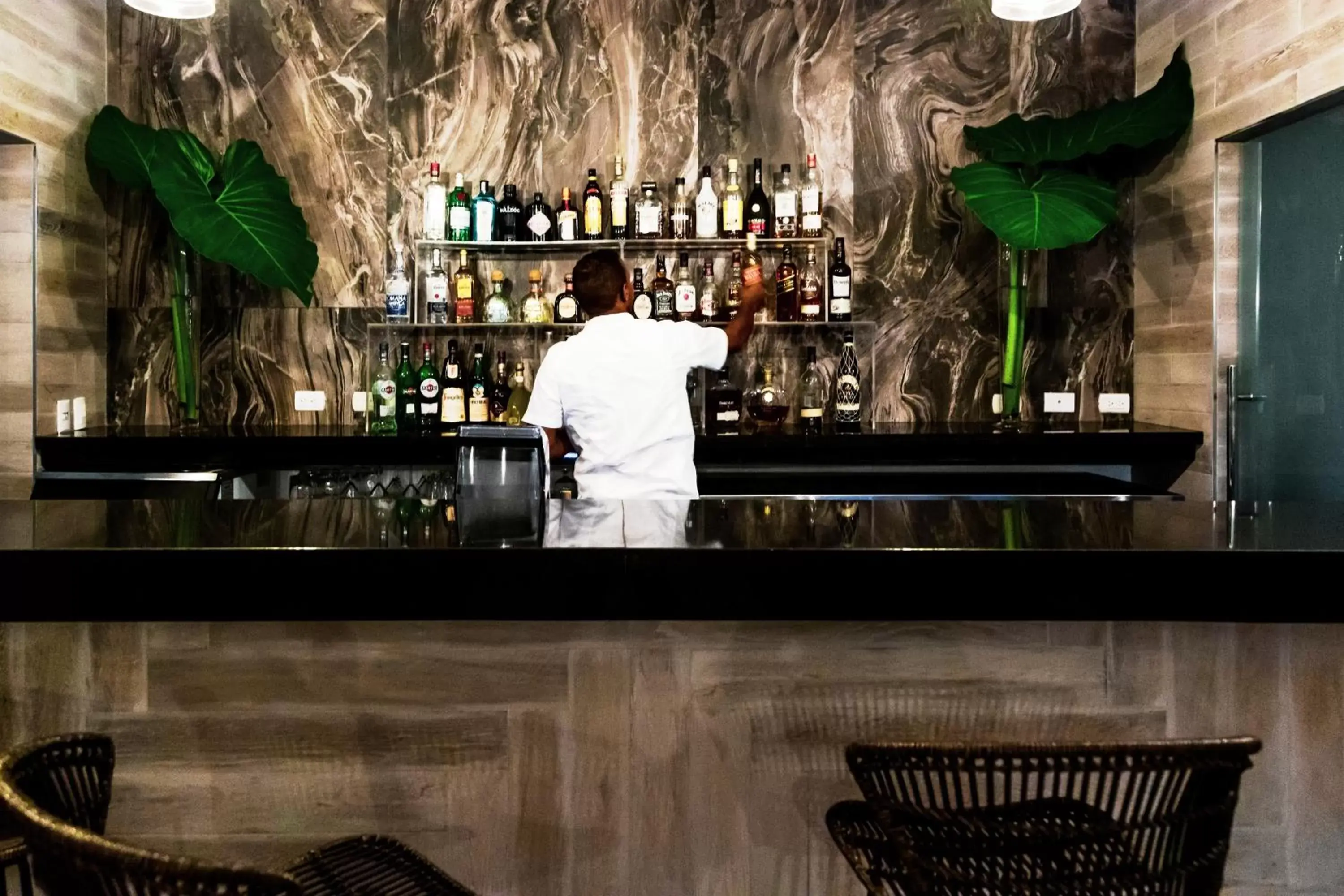 Lounge or bar in Sublime Samana