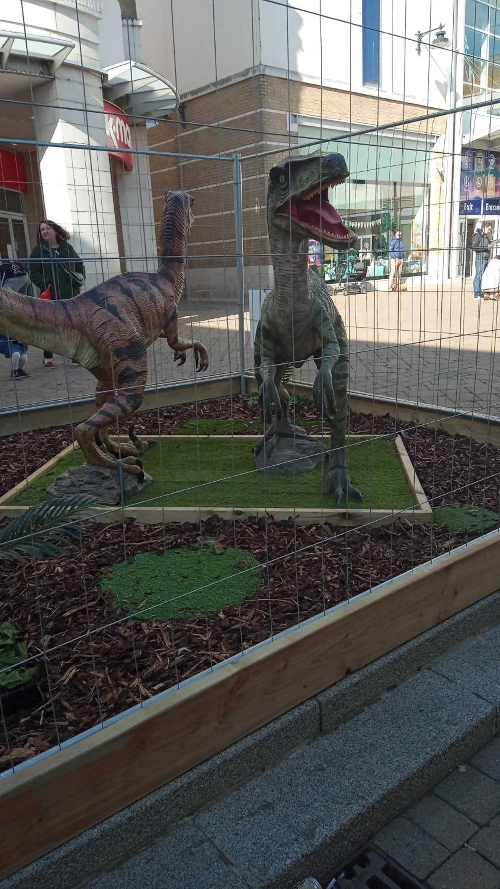 Shopping Area in The Wilton Weymouth