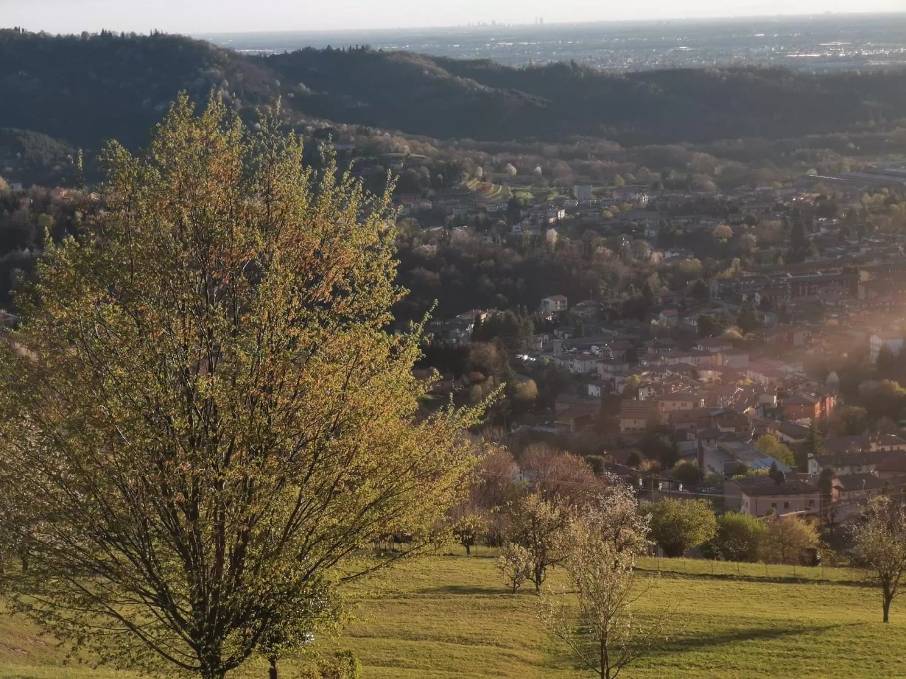 Natural landscape in B&B con SPA il Castello di Lucawest