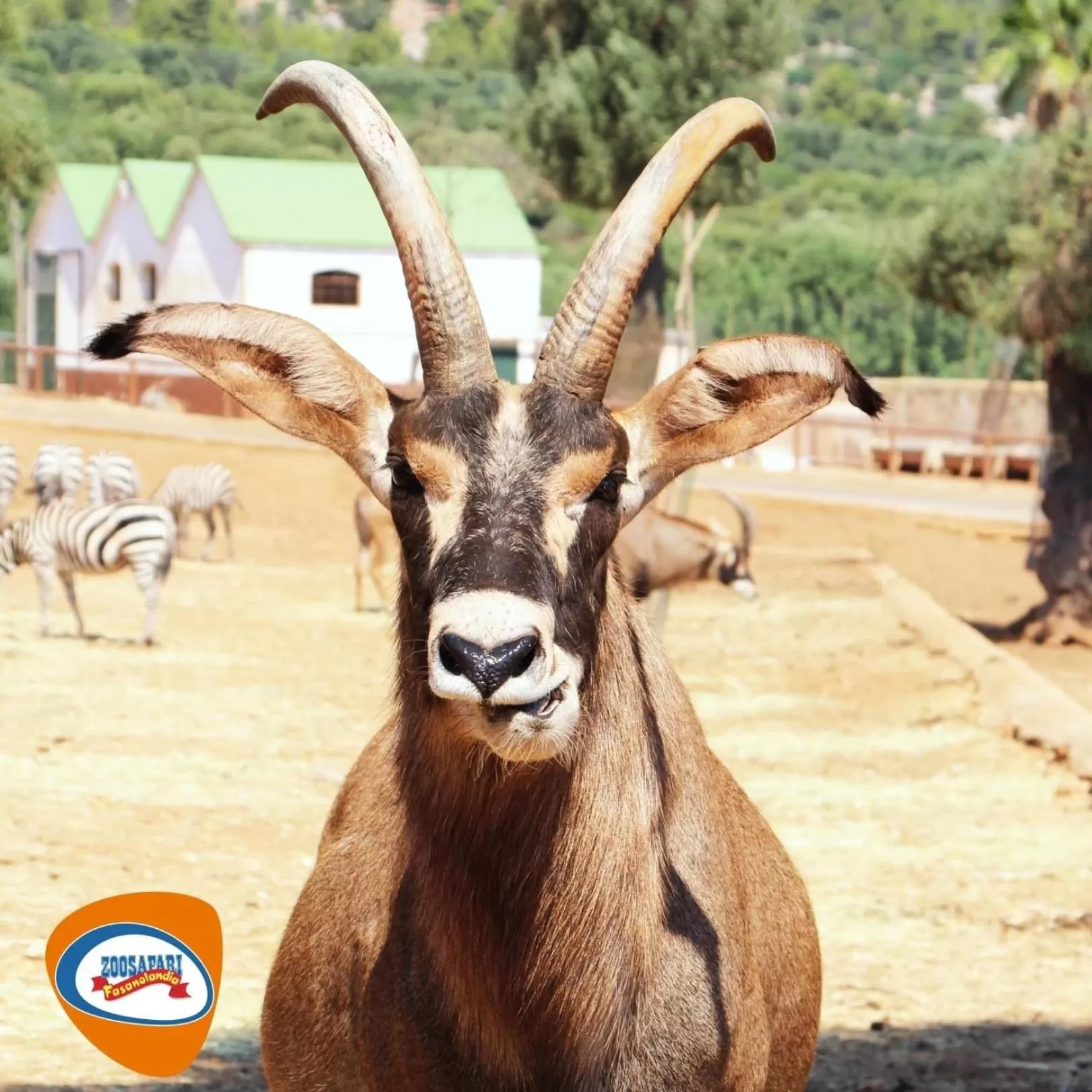 Other in Palazzo De Luca by Apulia Hospitality