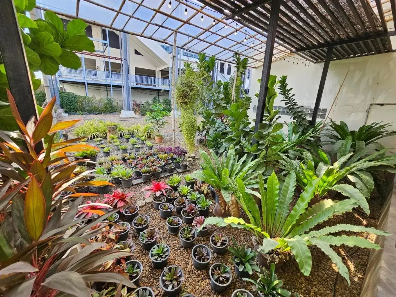 Garden in Mittapan Hotel