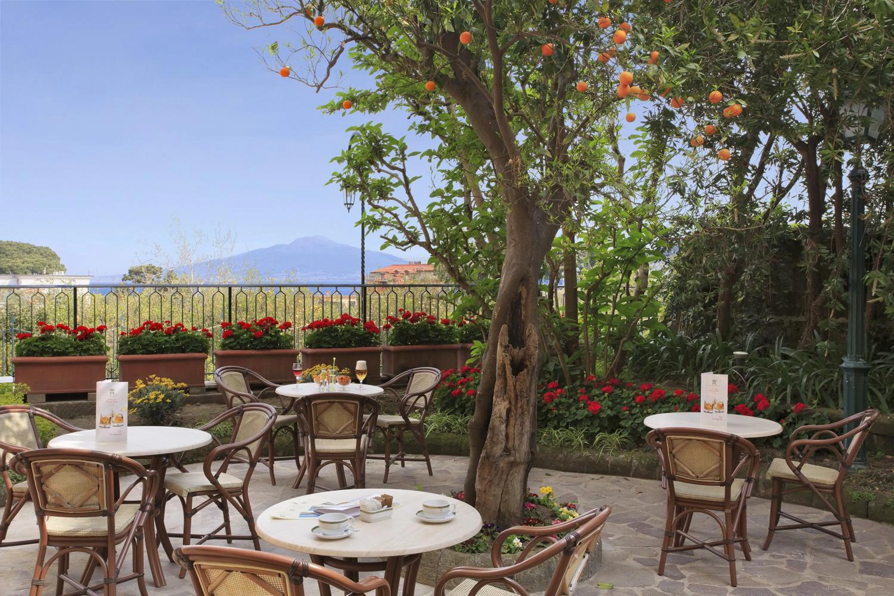 Garden in Grand Hotel de la Ville