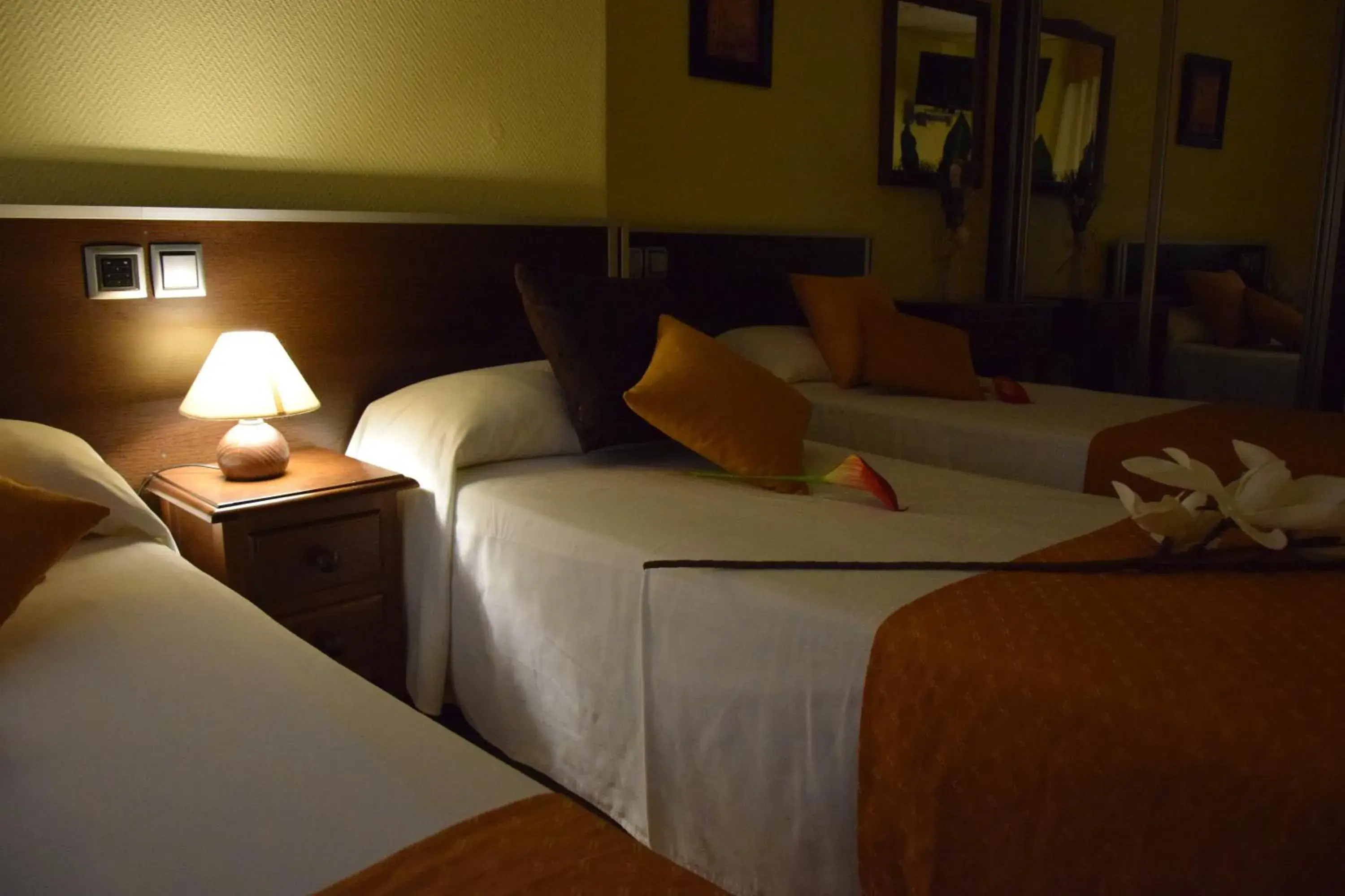 Photo of the whole room, Bed in Hotel Complutense