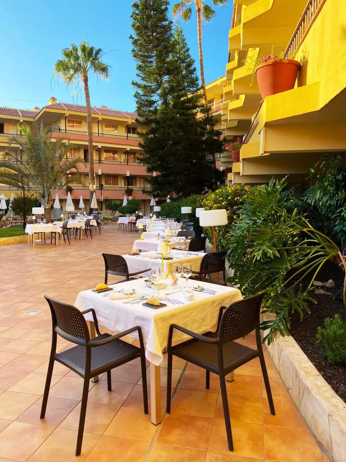 Restaurant/Places to Eat in HOVIMA Jardin Caleta