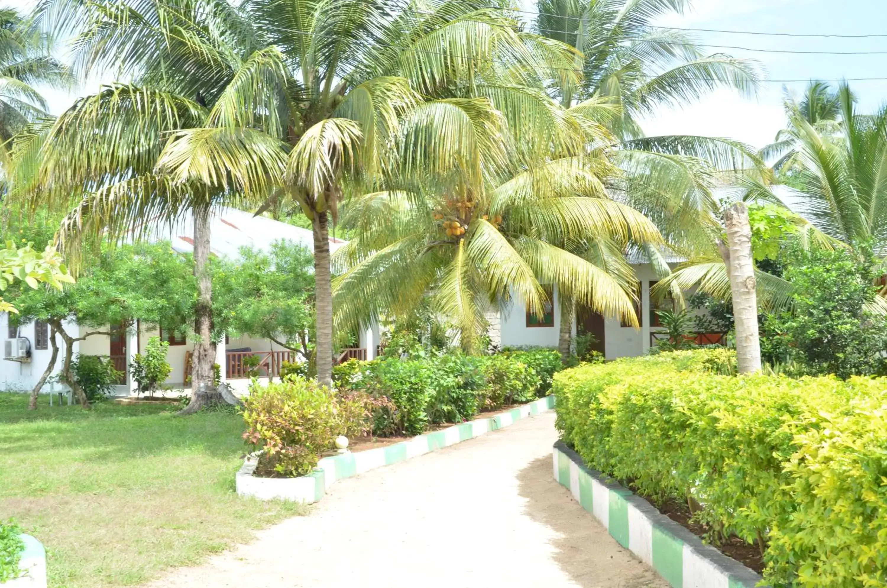 Garden in Bagamoyo Spice Villa