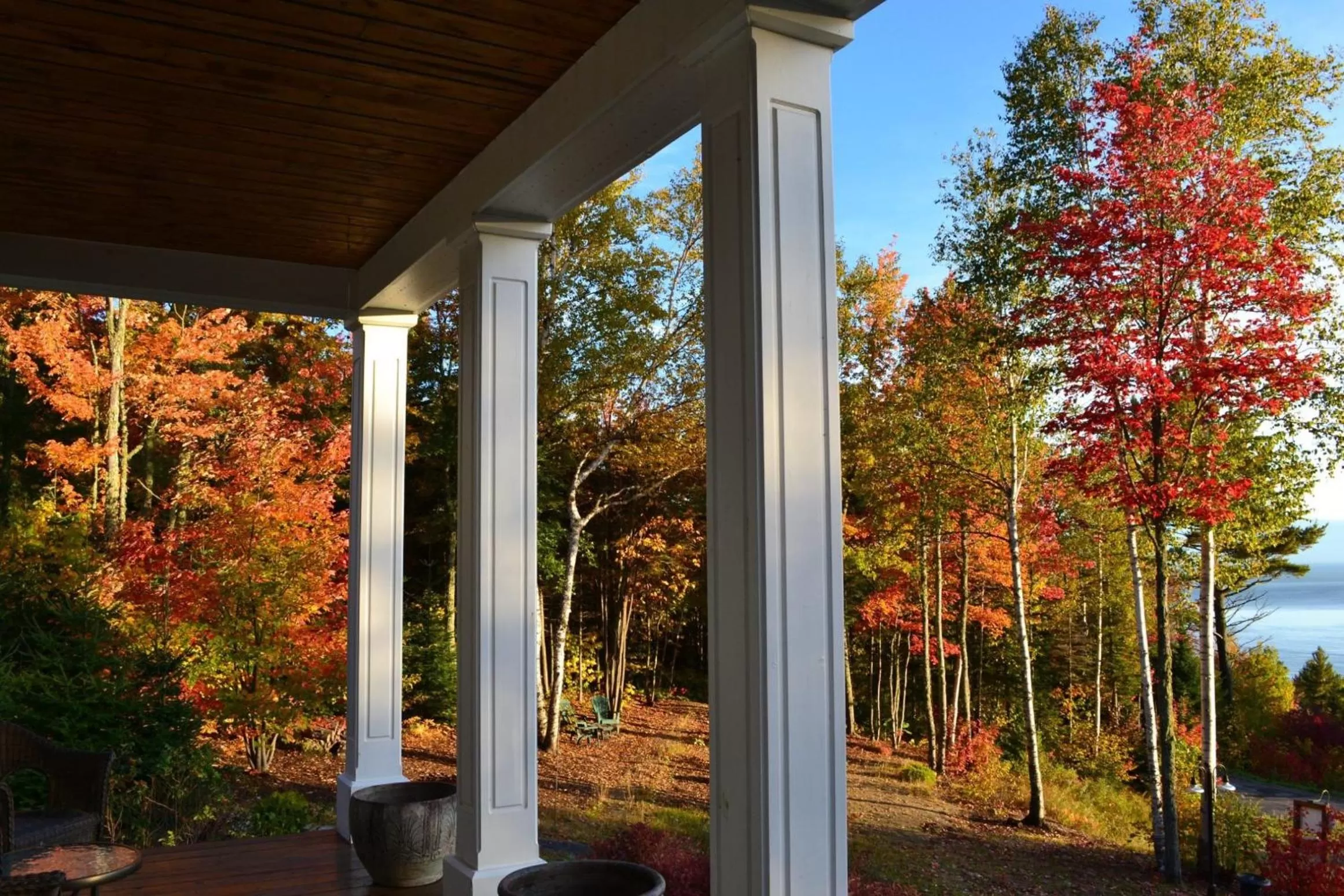 Spring in Gîte Nature et Pinceaux