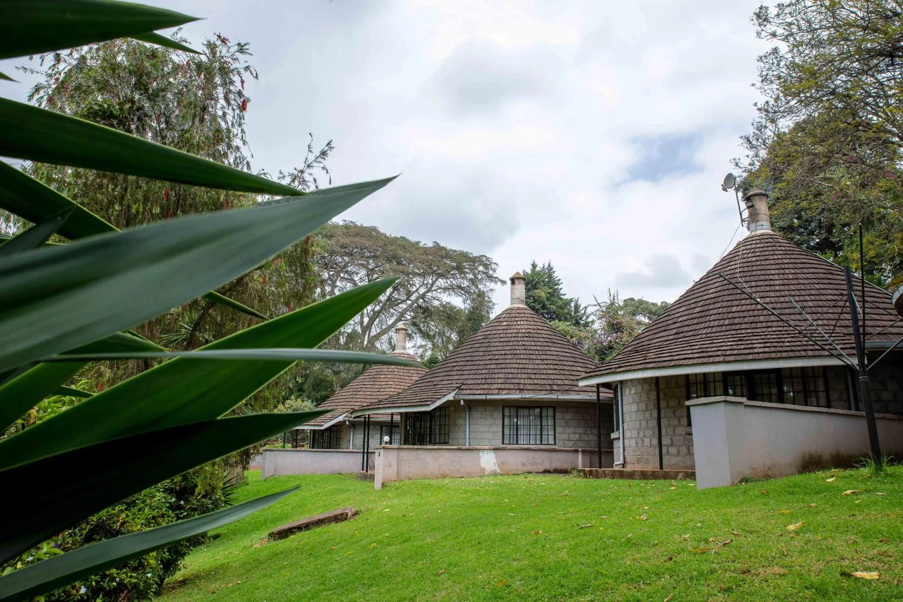 Property building in Thayu House