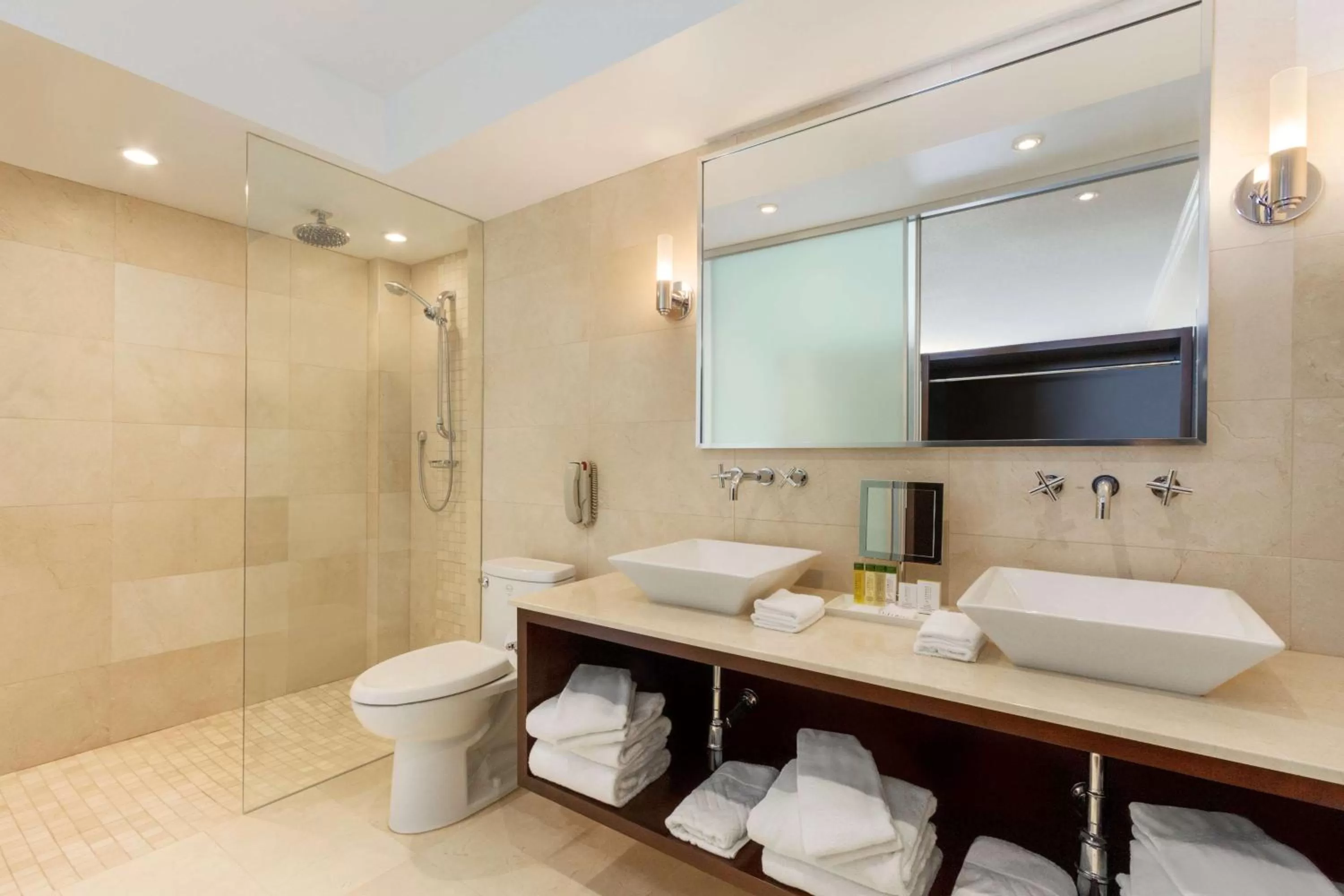 Bathroom in DoubleTree by Hilton Toronto Downtown