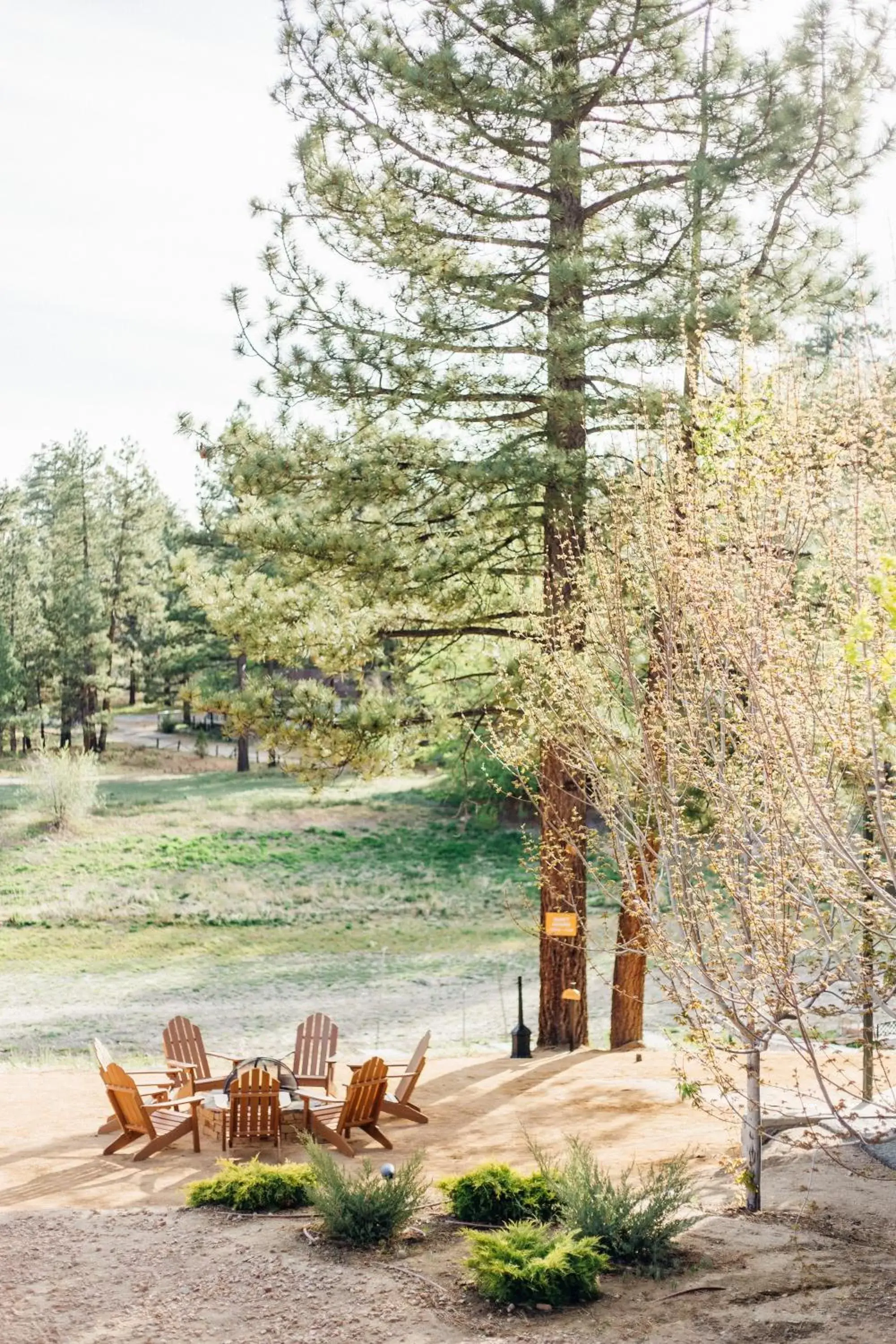 View (from property/room) in Noon Lodge