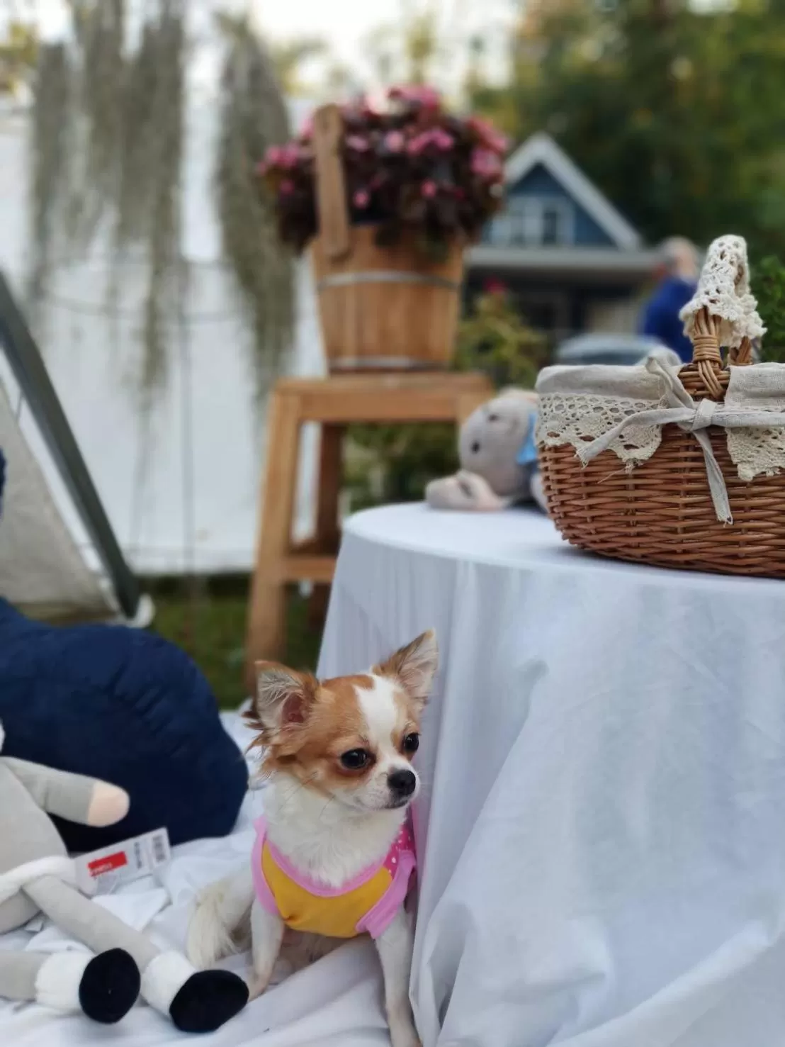 Baan JaoKorKluay บ้านเจ้ากอกล้วย