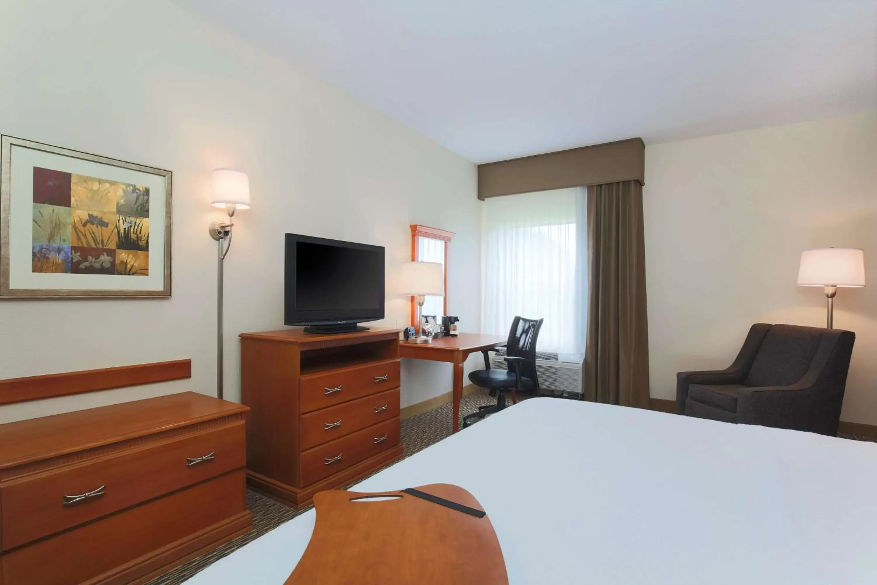 Bed, TV/Entertainment Center in Hampton Inn Decatur/Forsyth