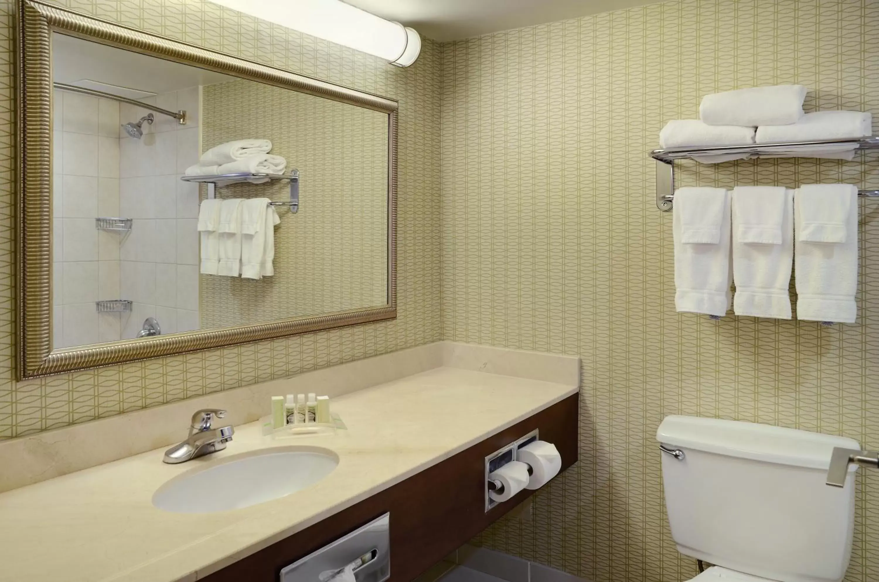 Bathroom in Holiday Inn Hotel & Suites London, an IHG Hotel