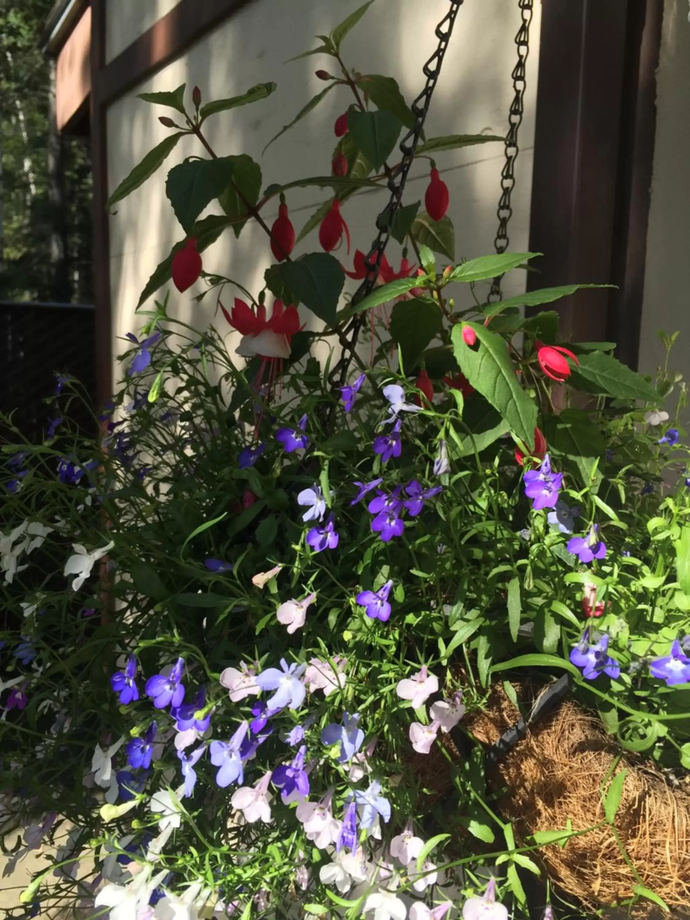 Garden in Abbey Archway Inn