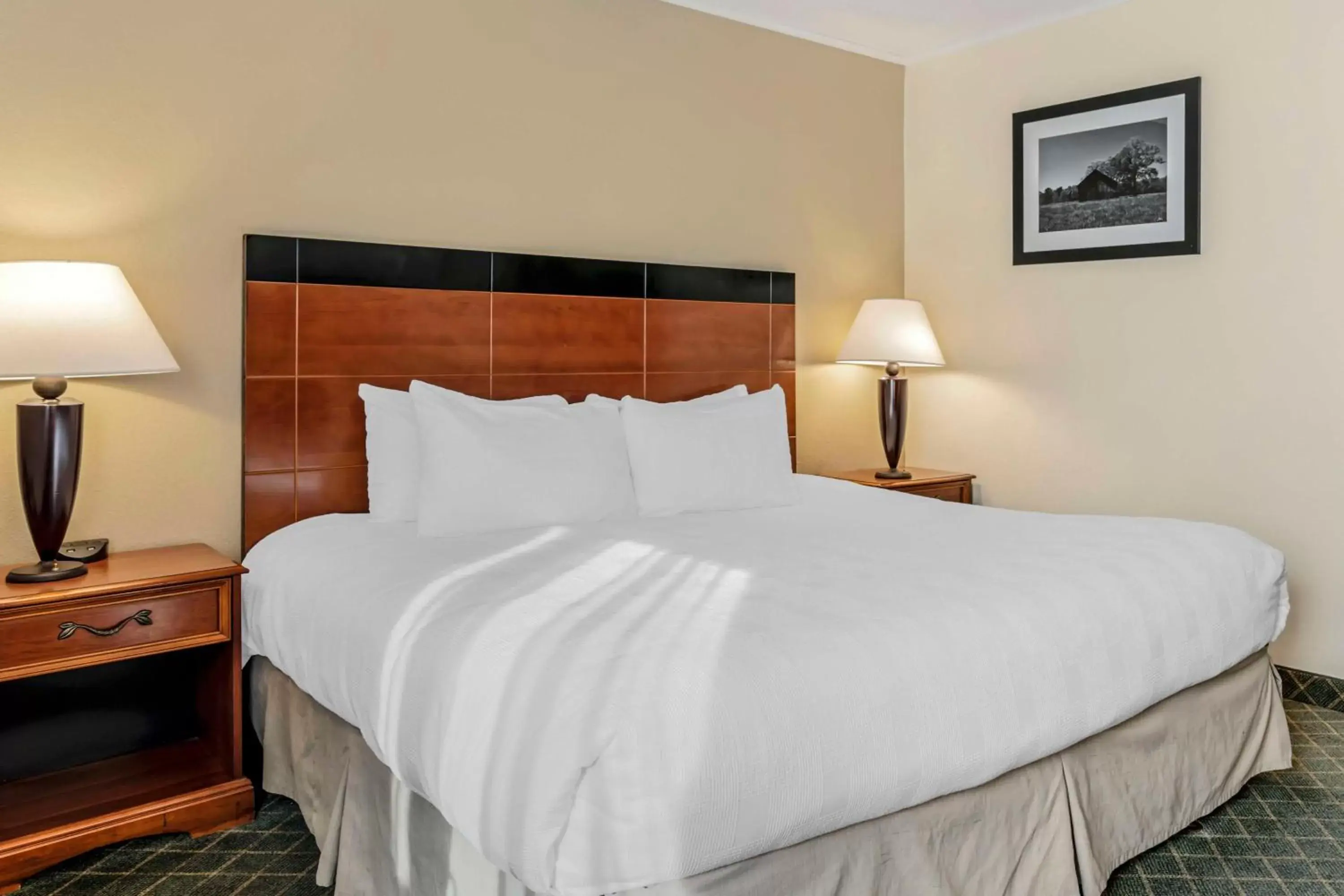 Bedroom, Bed in Best Western Plus Augusta Civic Center Inn