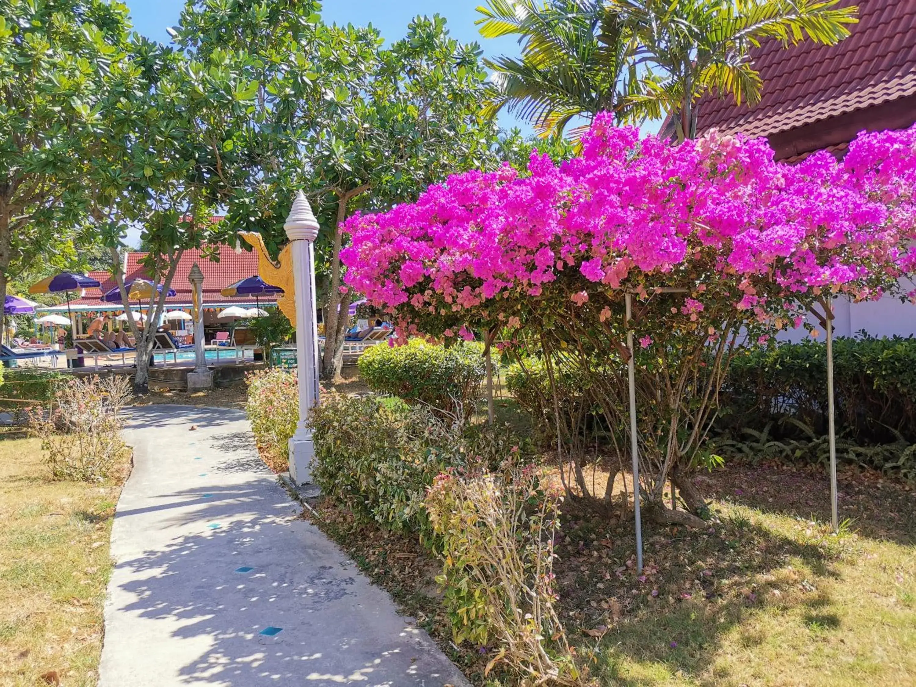 Garden in Holiday Villa Hotel