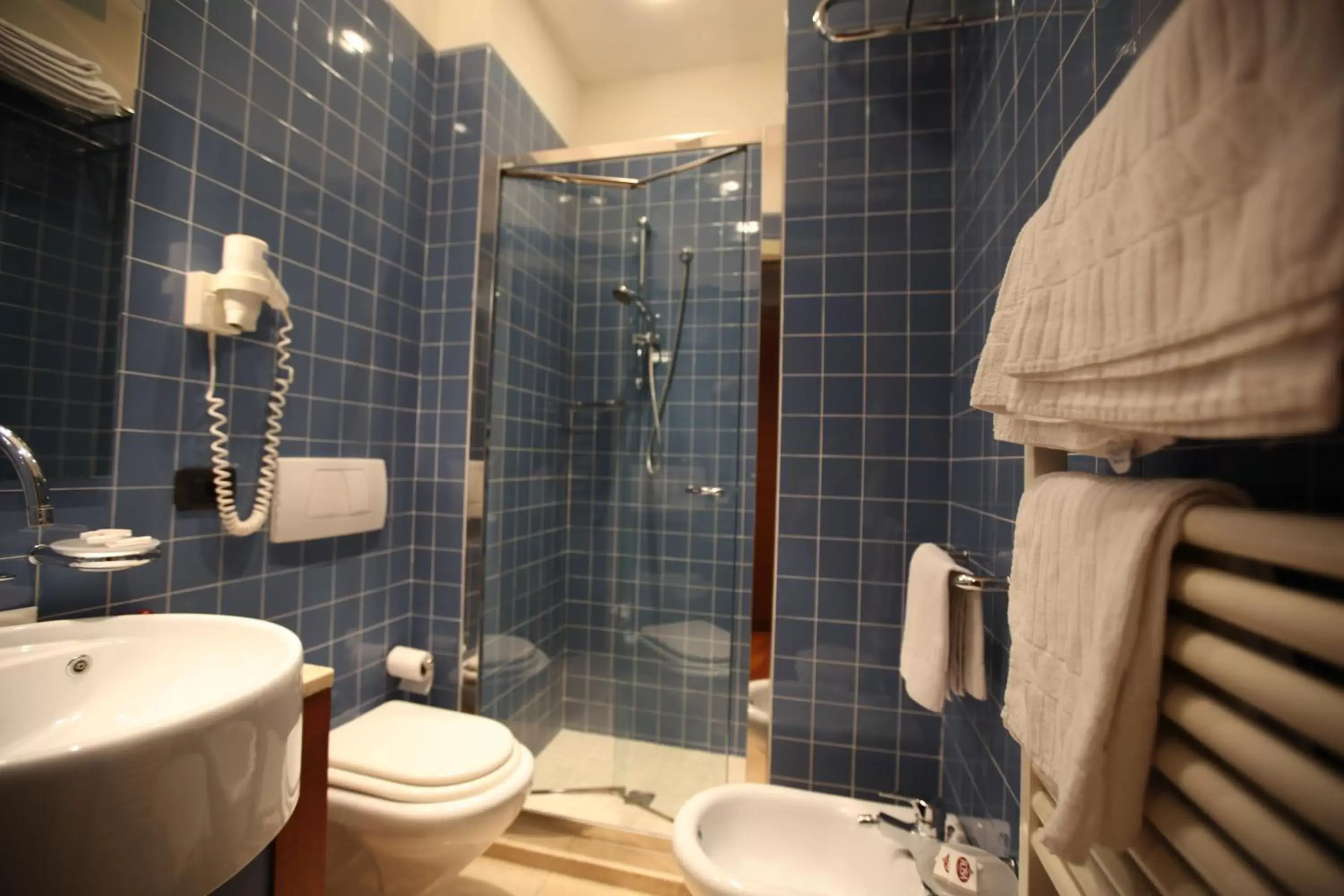 Shower, Bathroom in Hotel Rosa