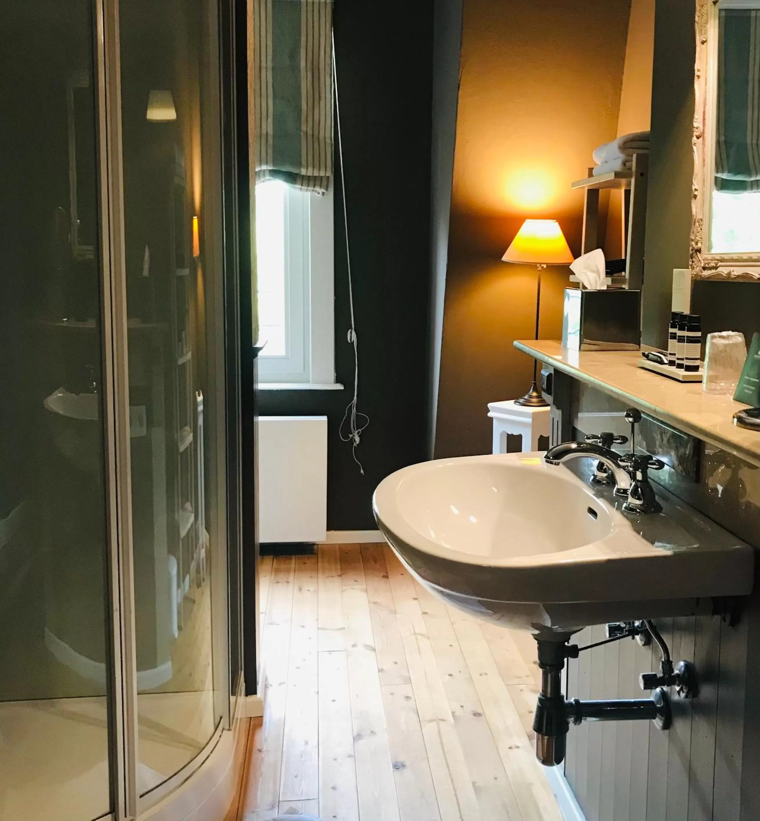 Shower in B&B 't Kasteel & 't Koetshuys