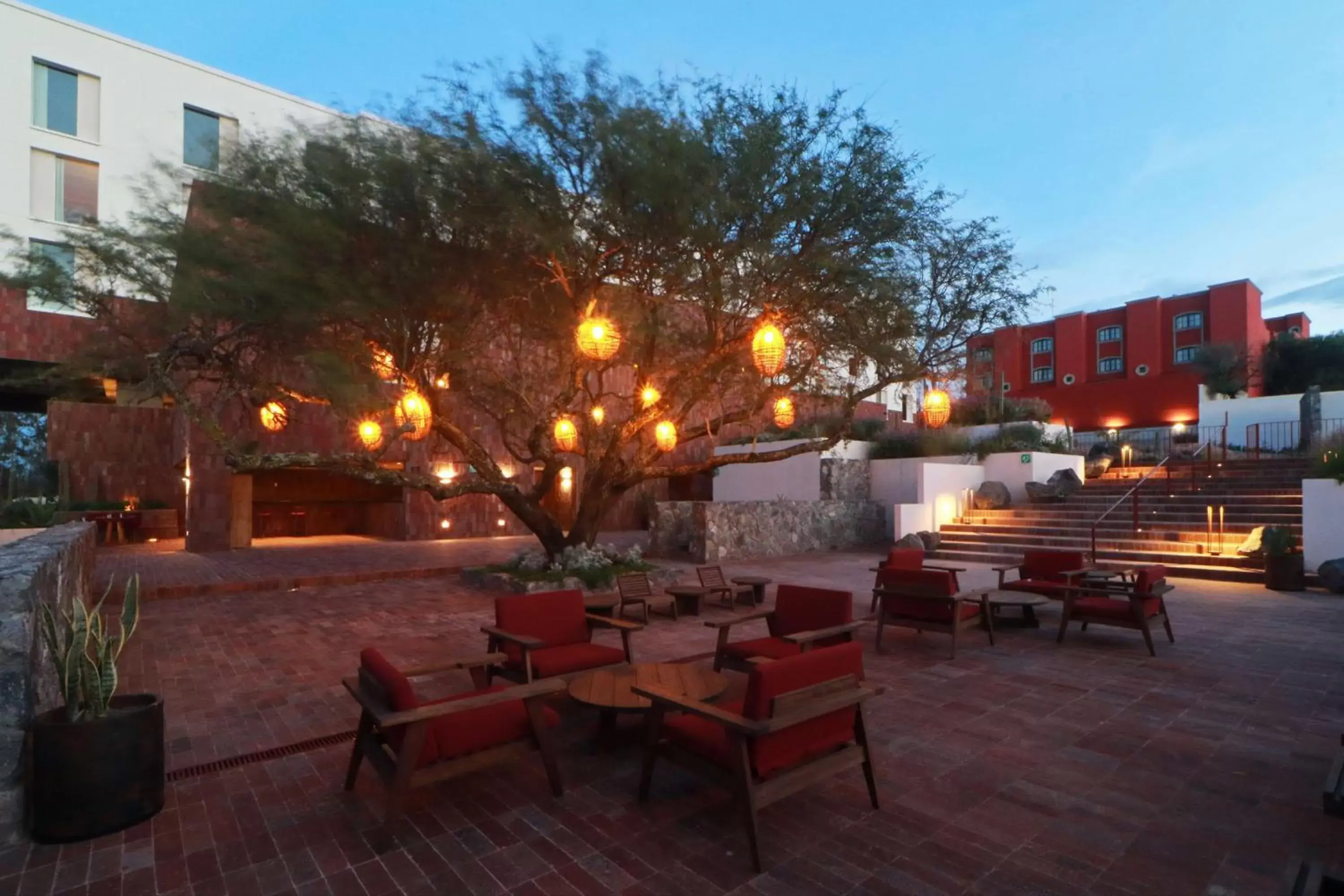 Patio in Albor San Miguel de Allende, Tapestry Collection by Hilton