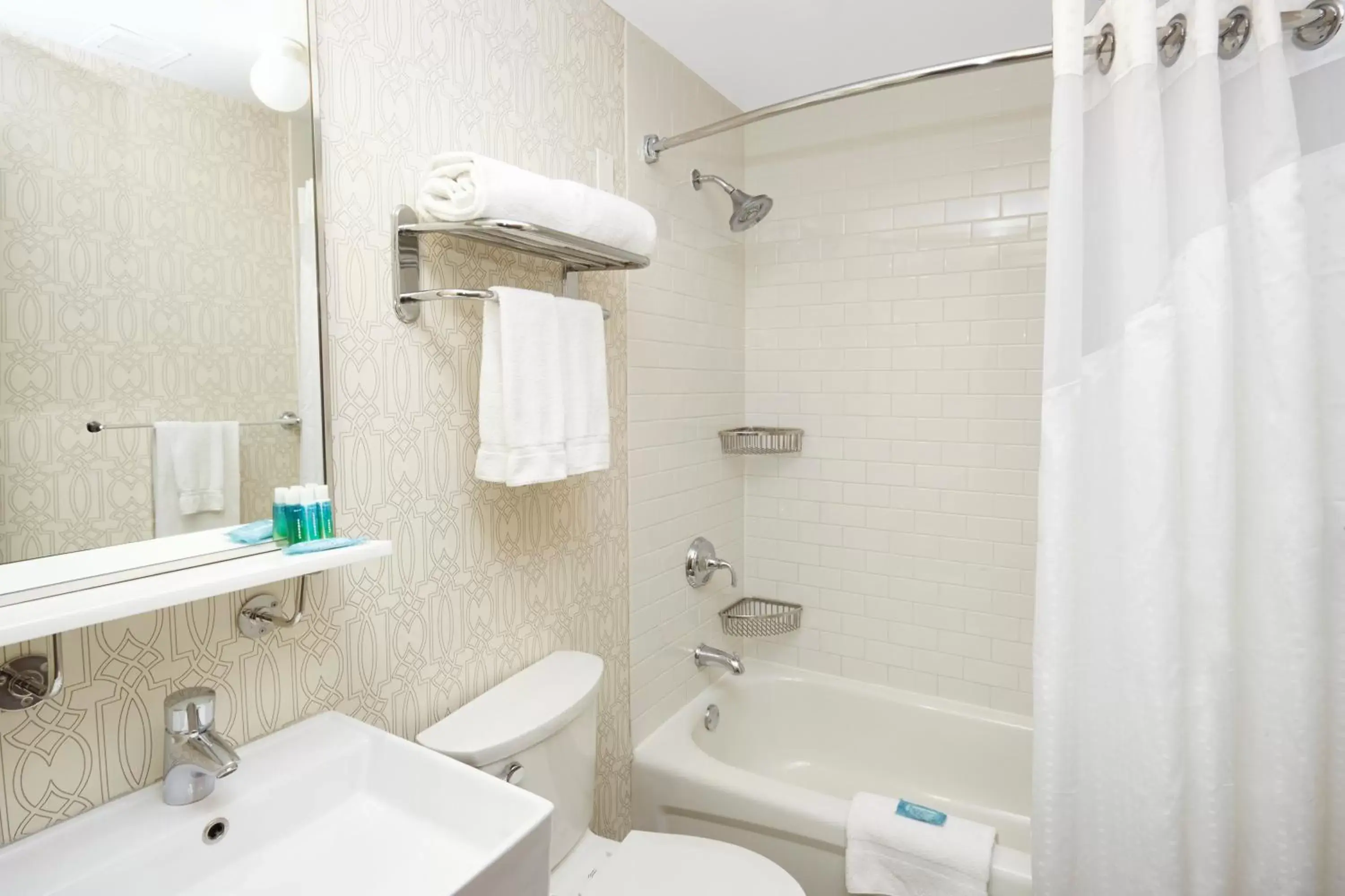 Bathroom in Holiday Inn Express Chicago - Magnificent Mile, an IHG Hotel