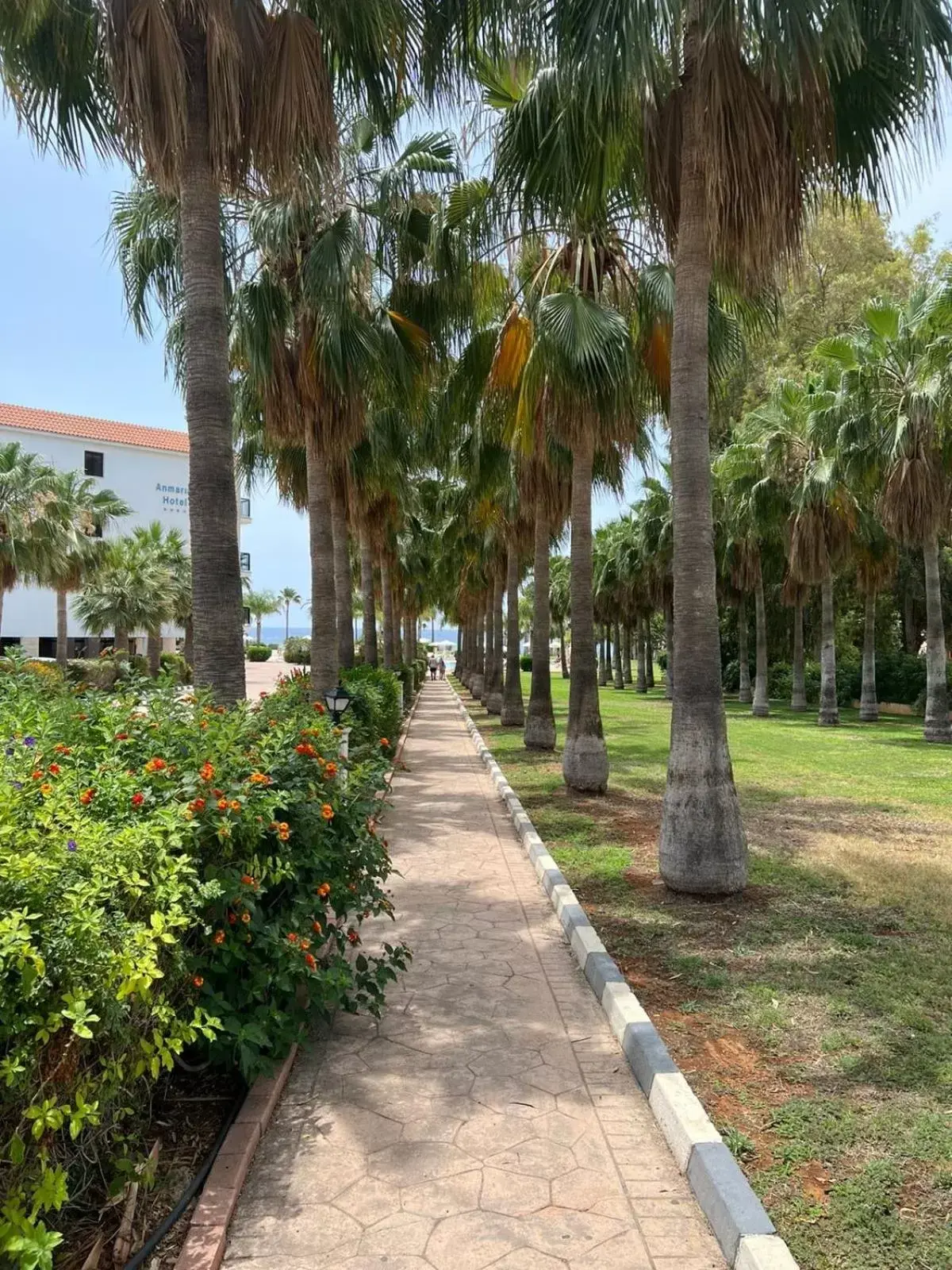 Garden in Anmaria Beach Hotel & Spa