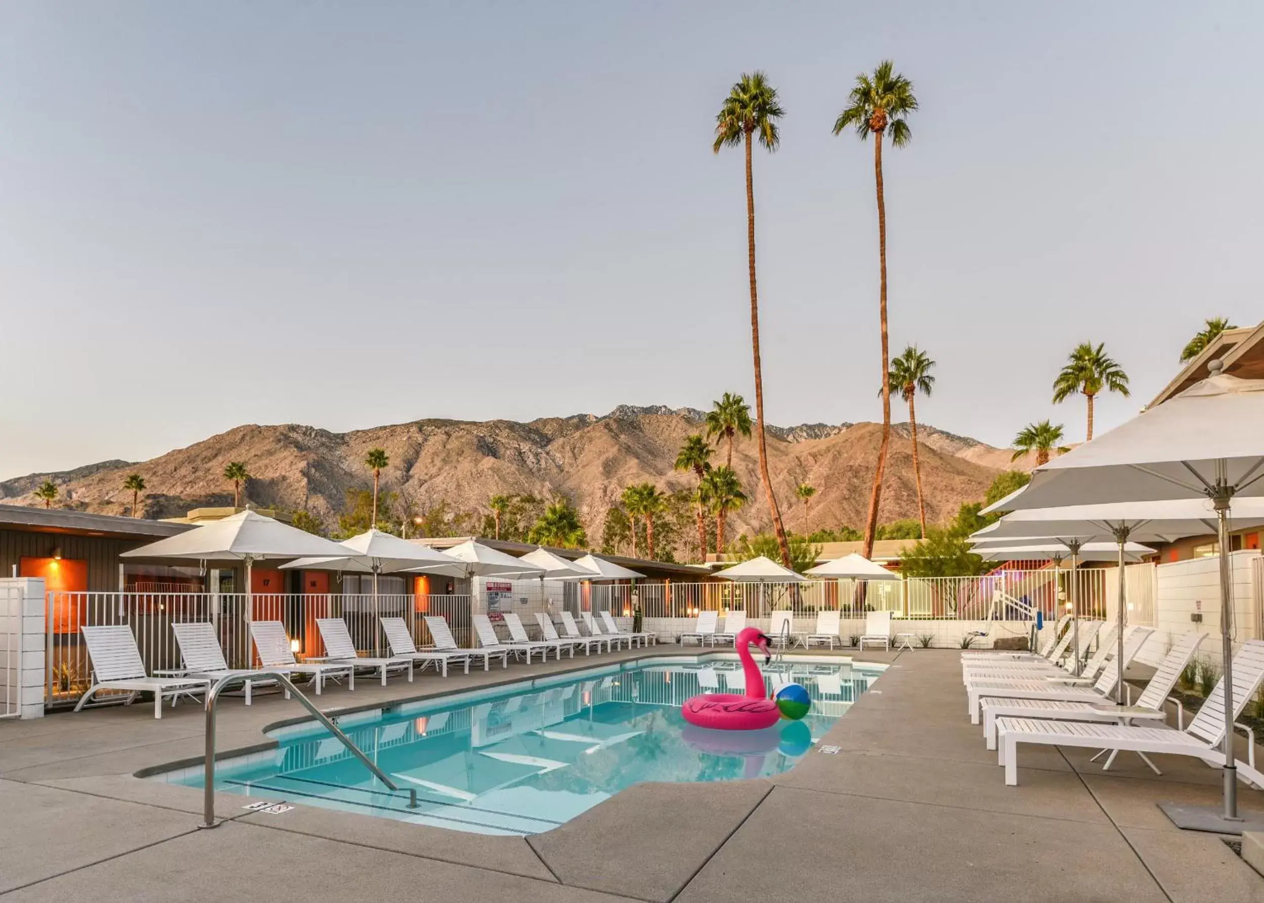 Patio, Swimming Pool in The Skylark, a Palm Springs Hotel