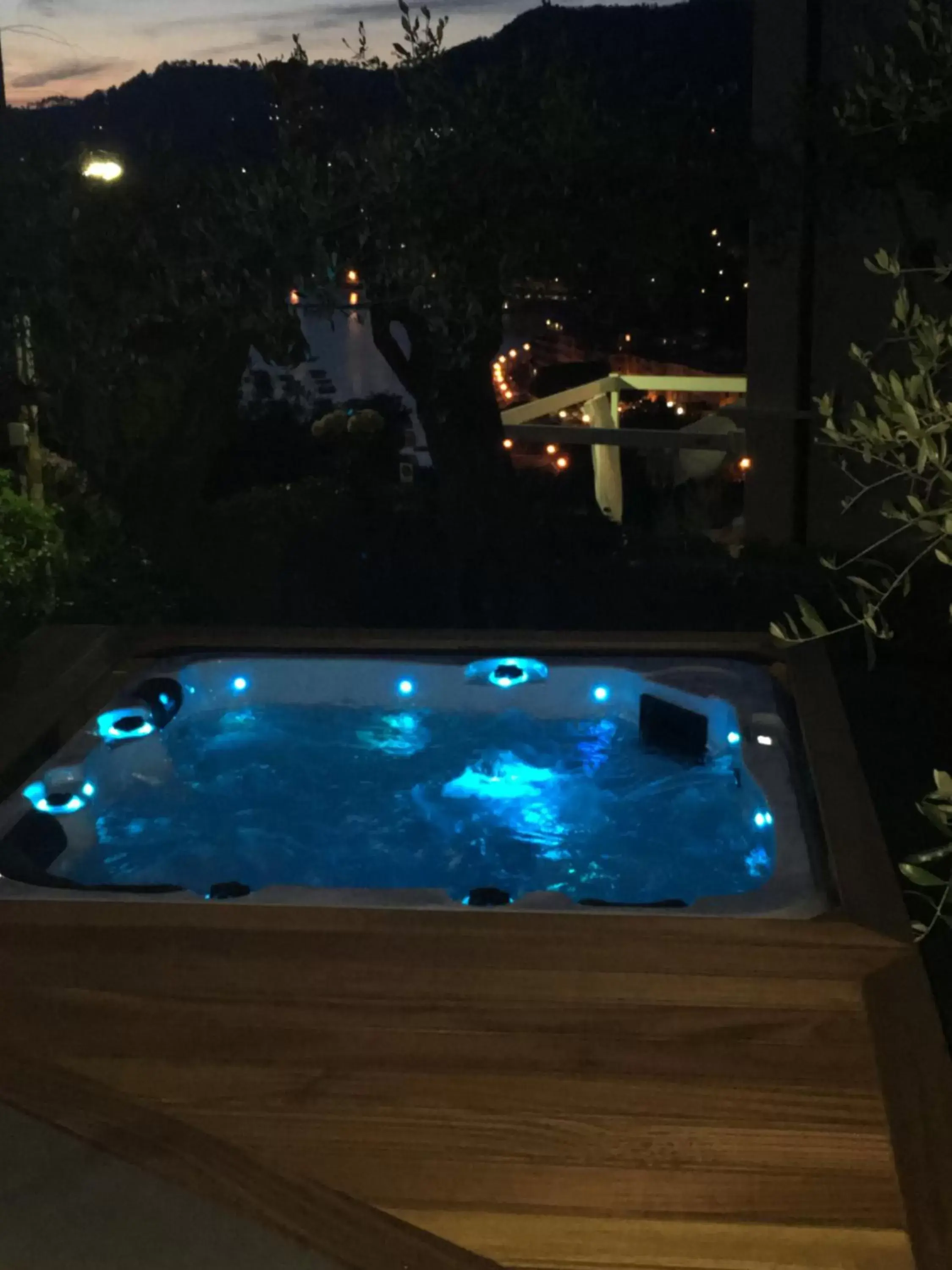 Hot Tub, Pool View in Velamica Resort