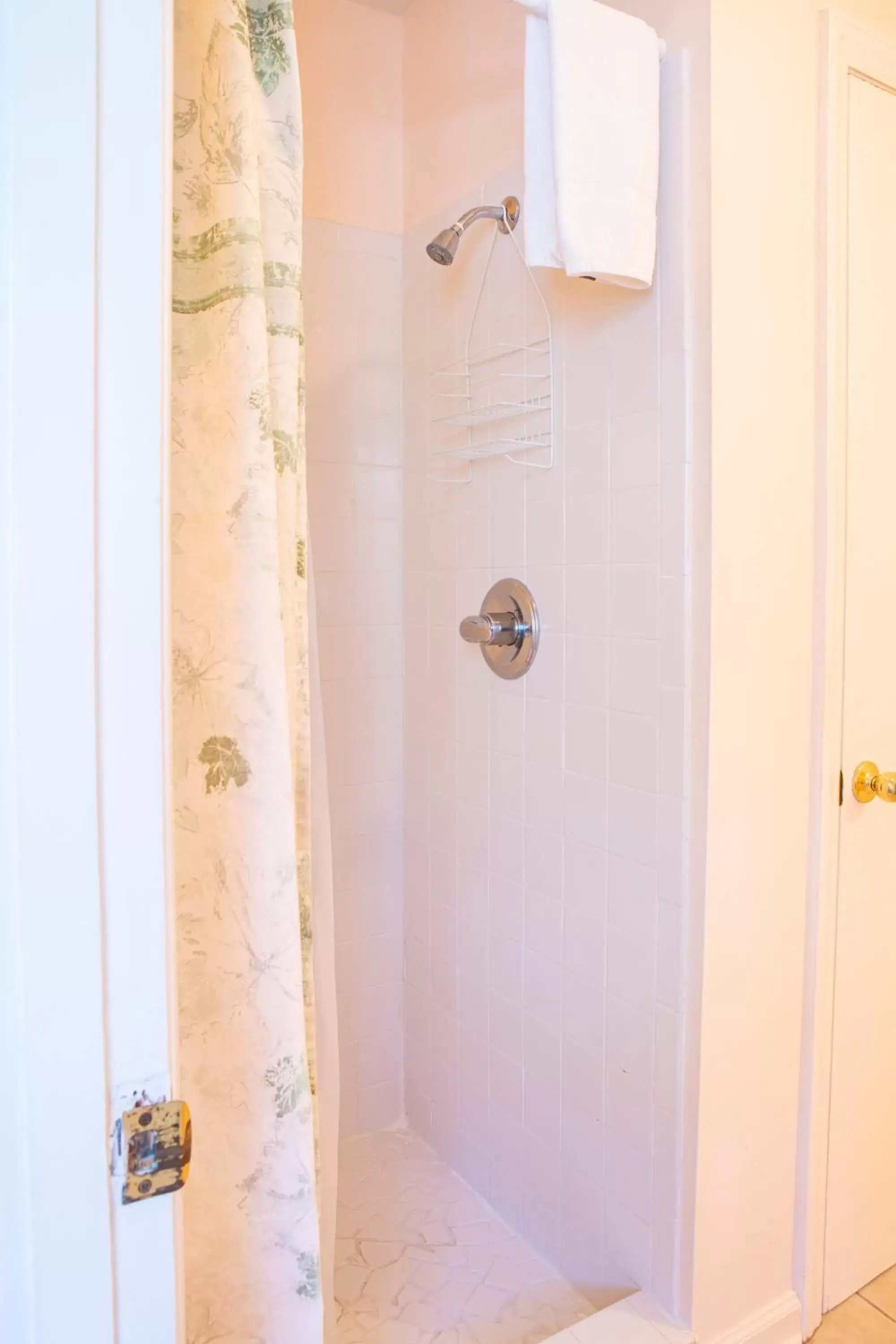 Shower, Bathroom in The Chimney Rock Inn & Cottages