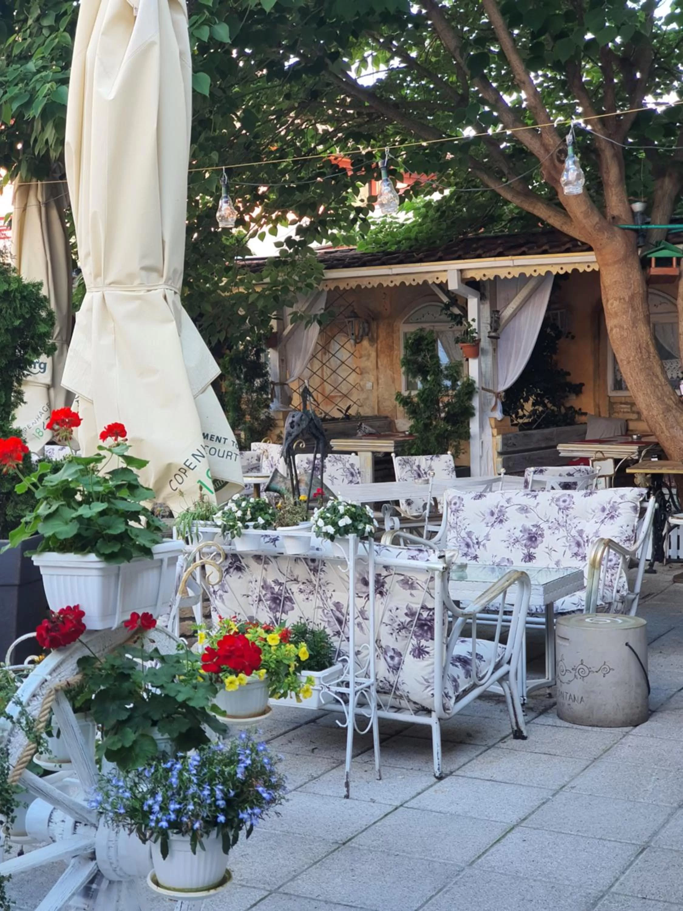 Restaurant/places to eat in Hotel Fontana